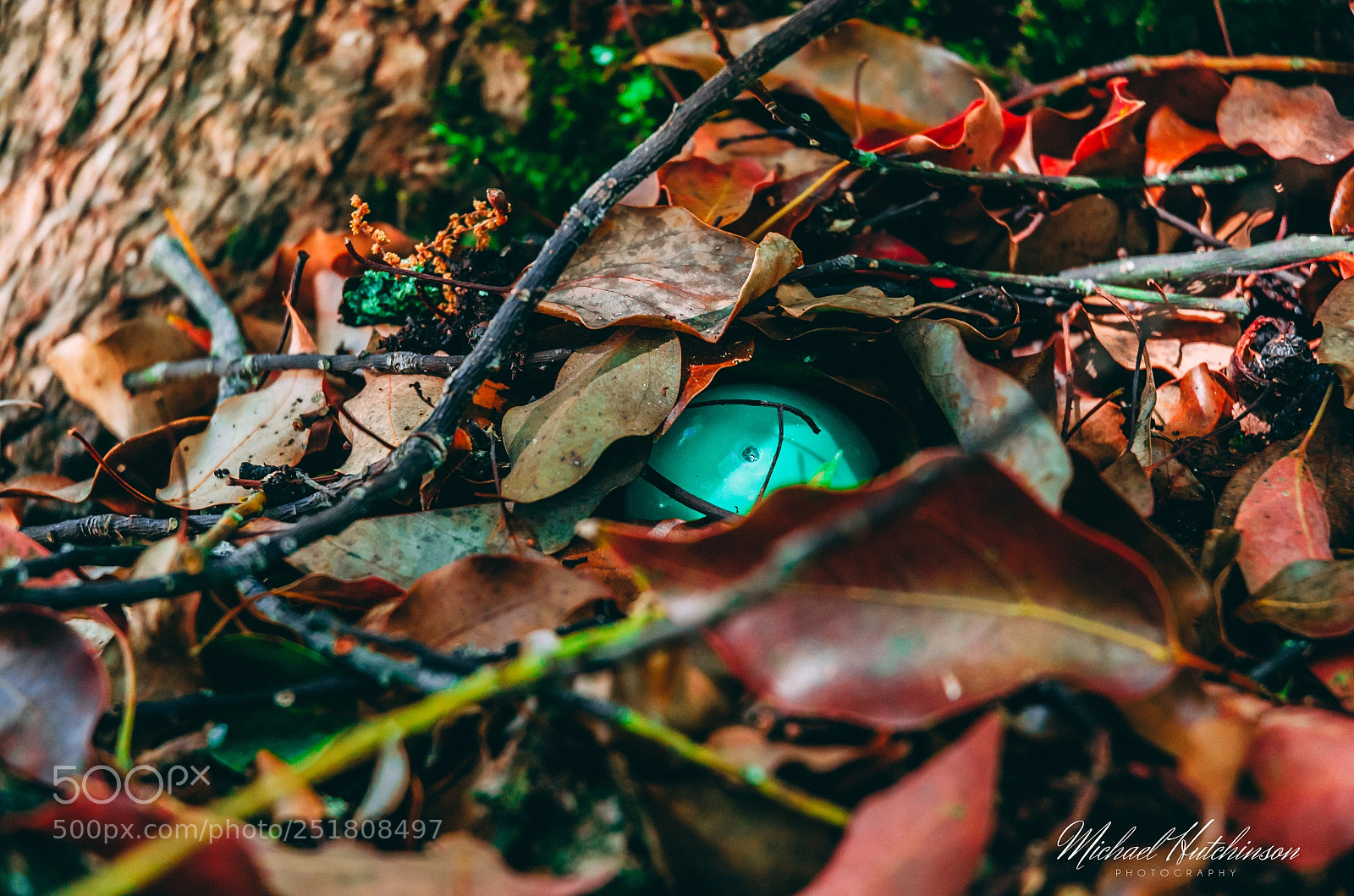 Nikon D7000 sample photo. Easter egg photography