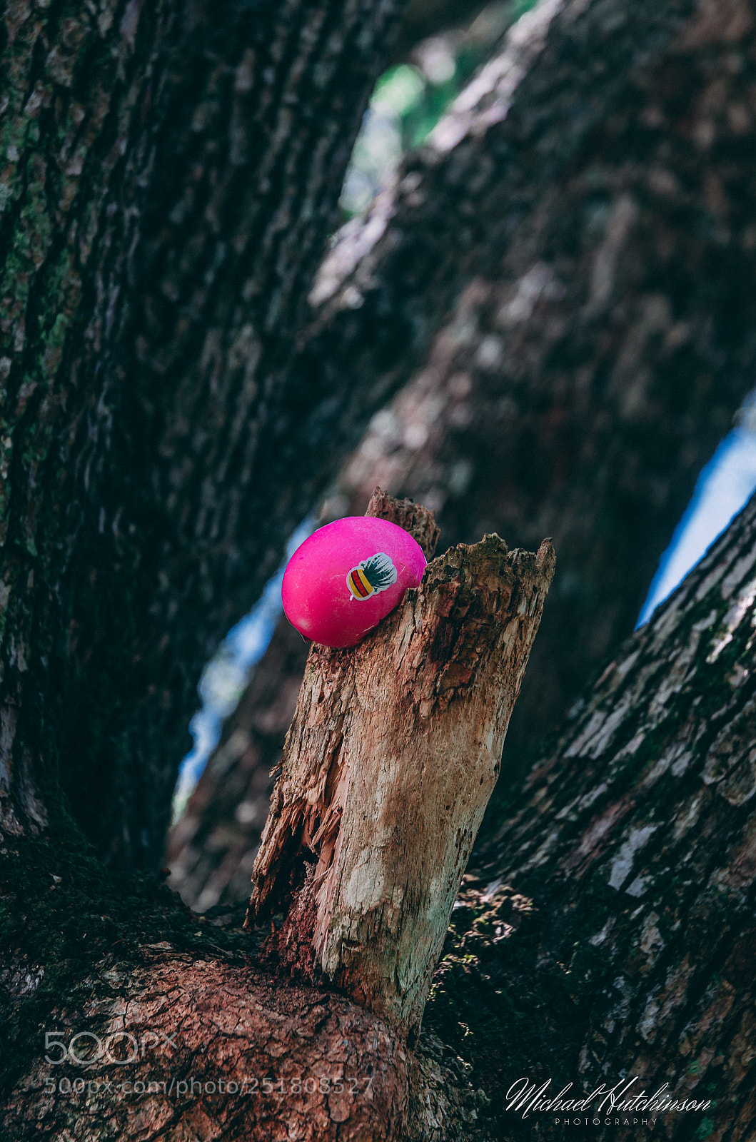 Nikon D7000 sample photo. Easter 2018 photography