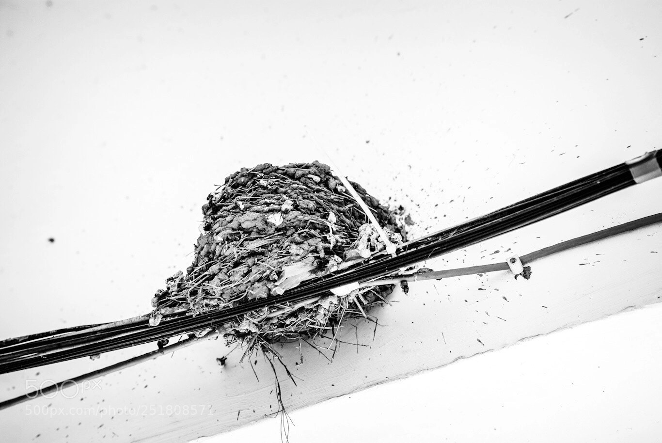 Sony Alpha DSLR-A200 sample photo. Untitled photography
