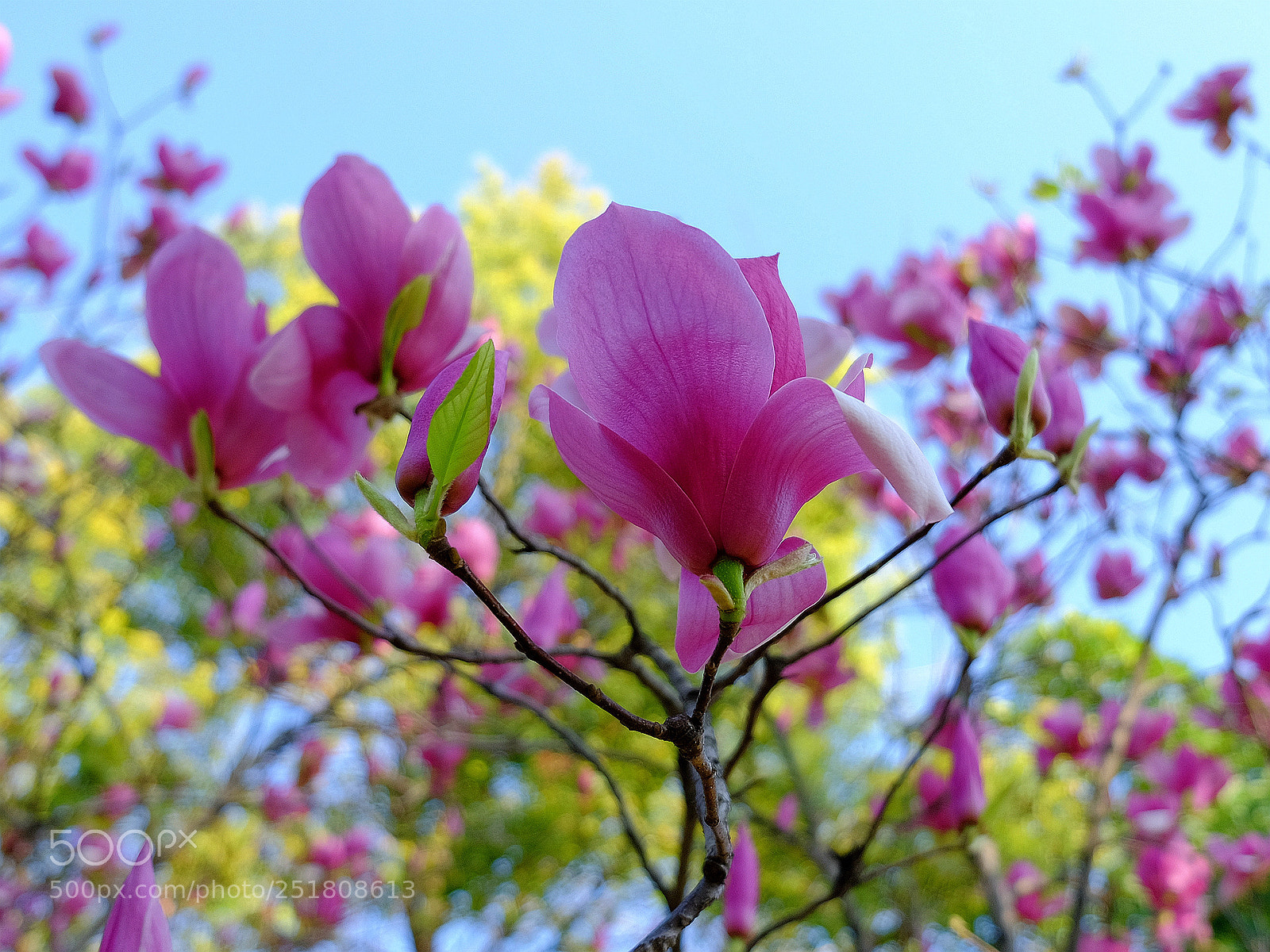 Fujifilm X-T1 sample photo. 副本t photography