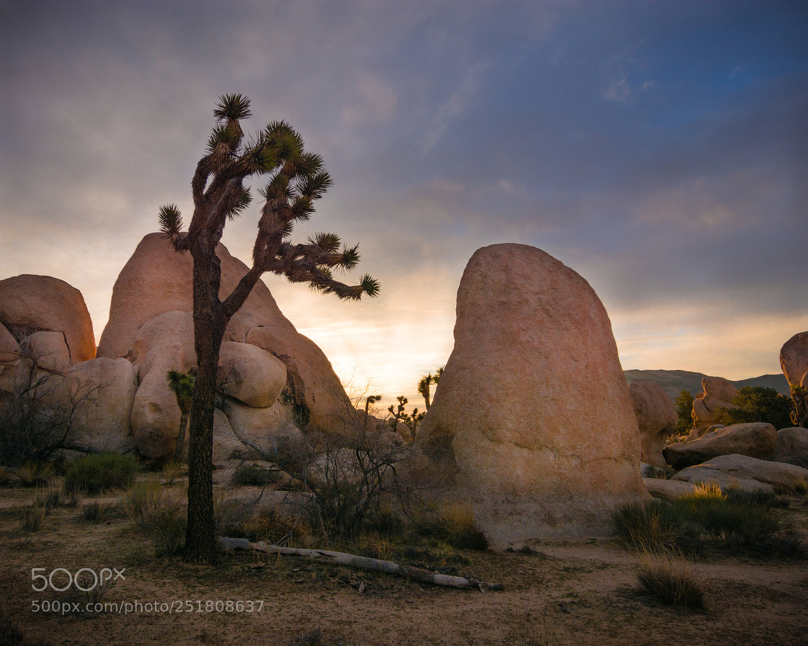 Nikon D7100 sample photo. Dawn photography