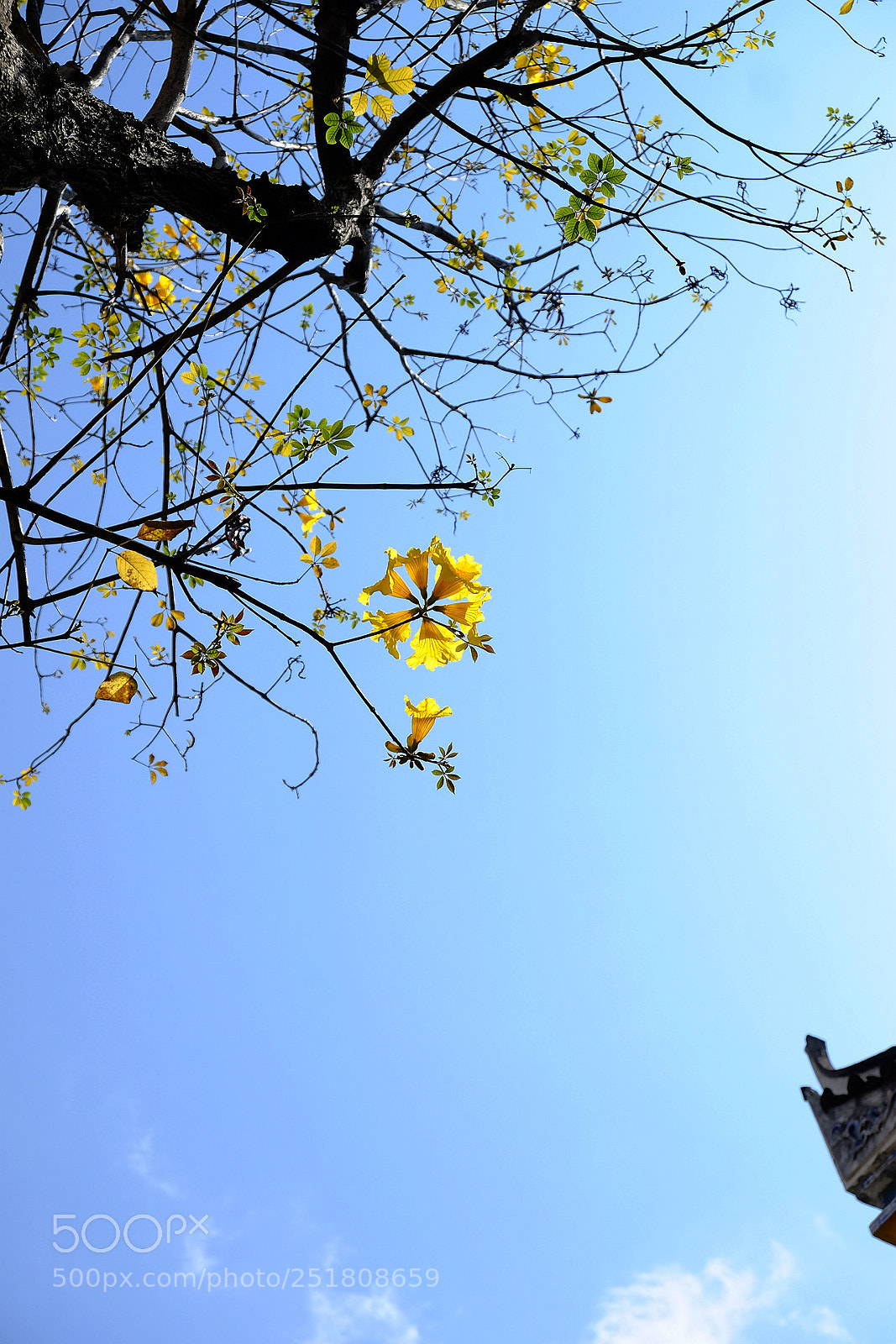 Fujifilm X-T1 sample photo. 副本t photography