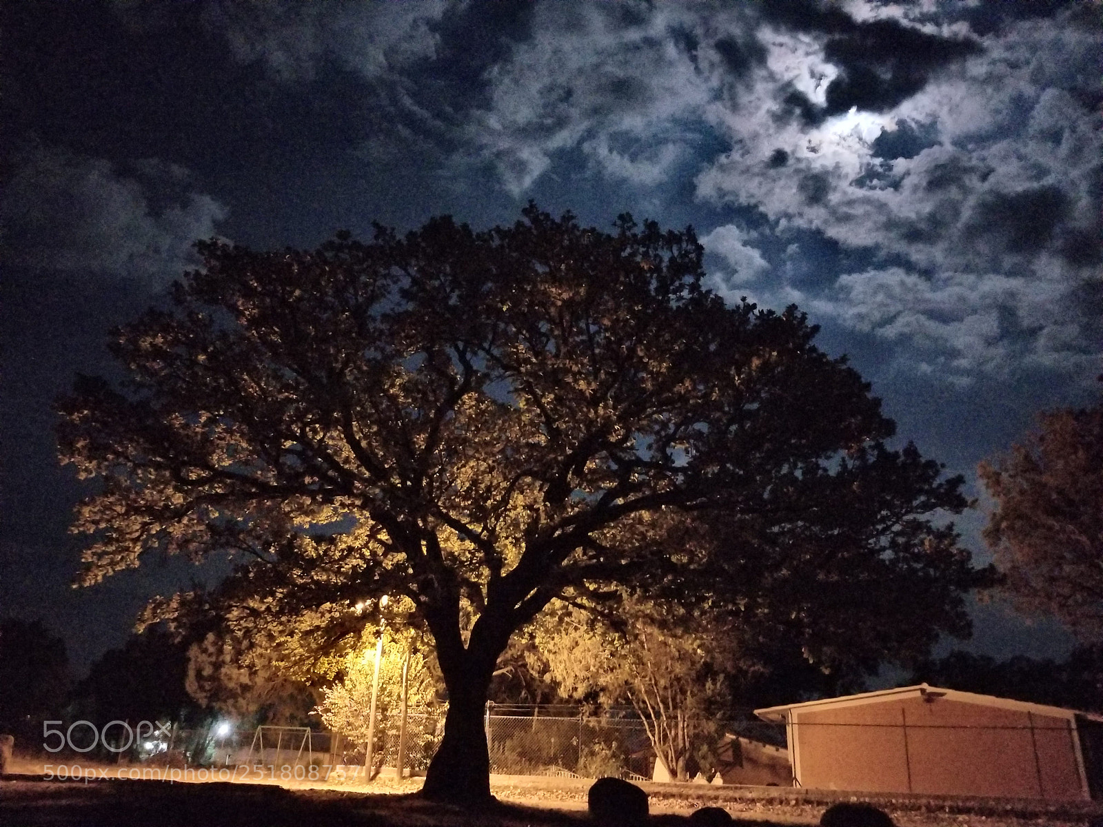 Samsung Galaxy S8+ sample photo. Noche photography