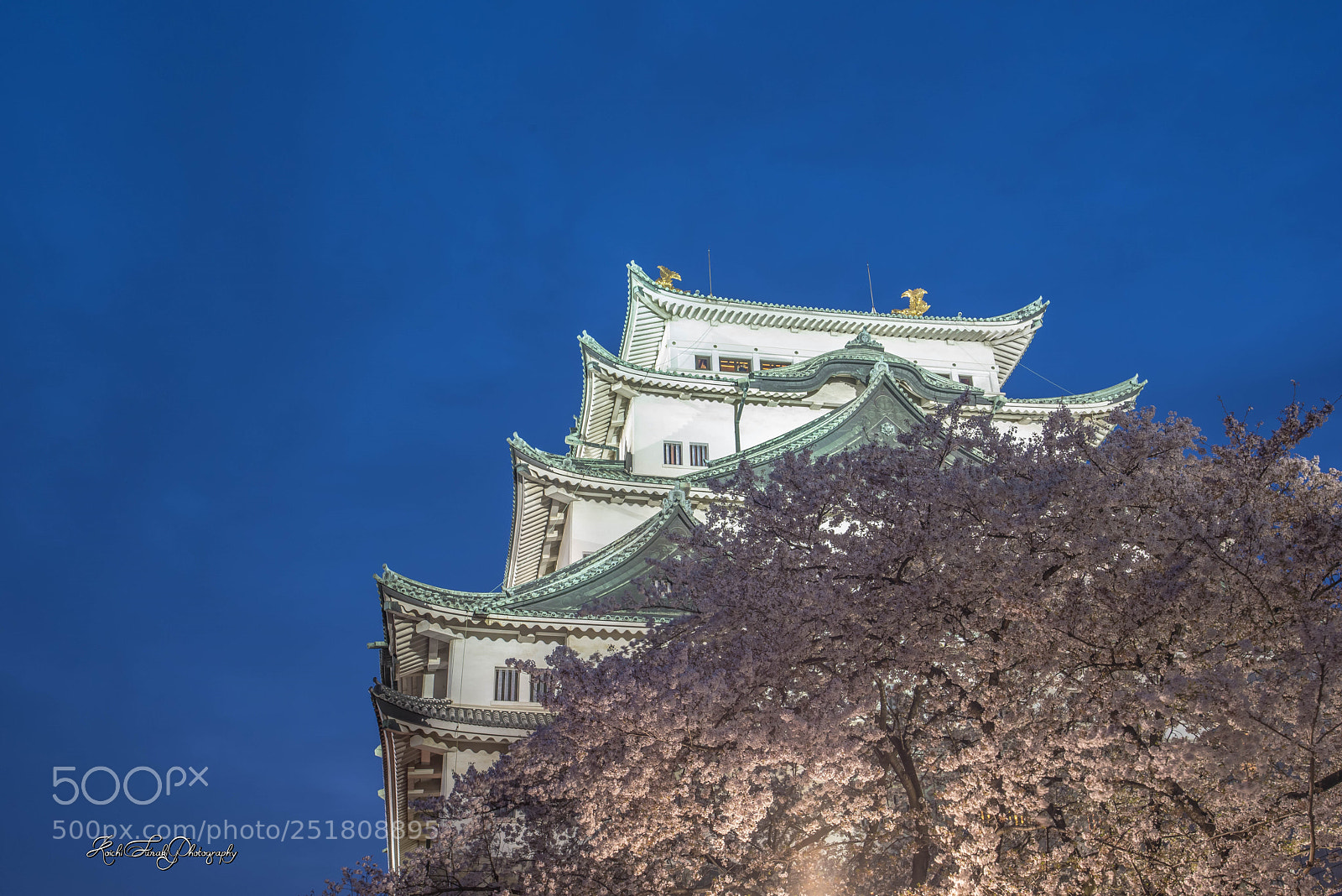 Nikon D810 sample photo. Last night's nagoya castle photography