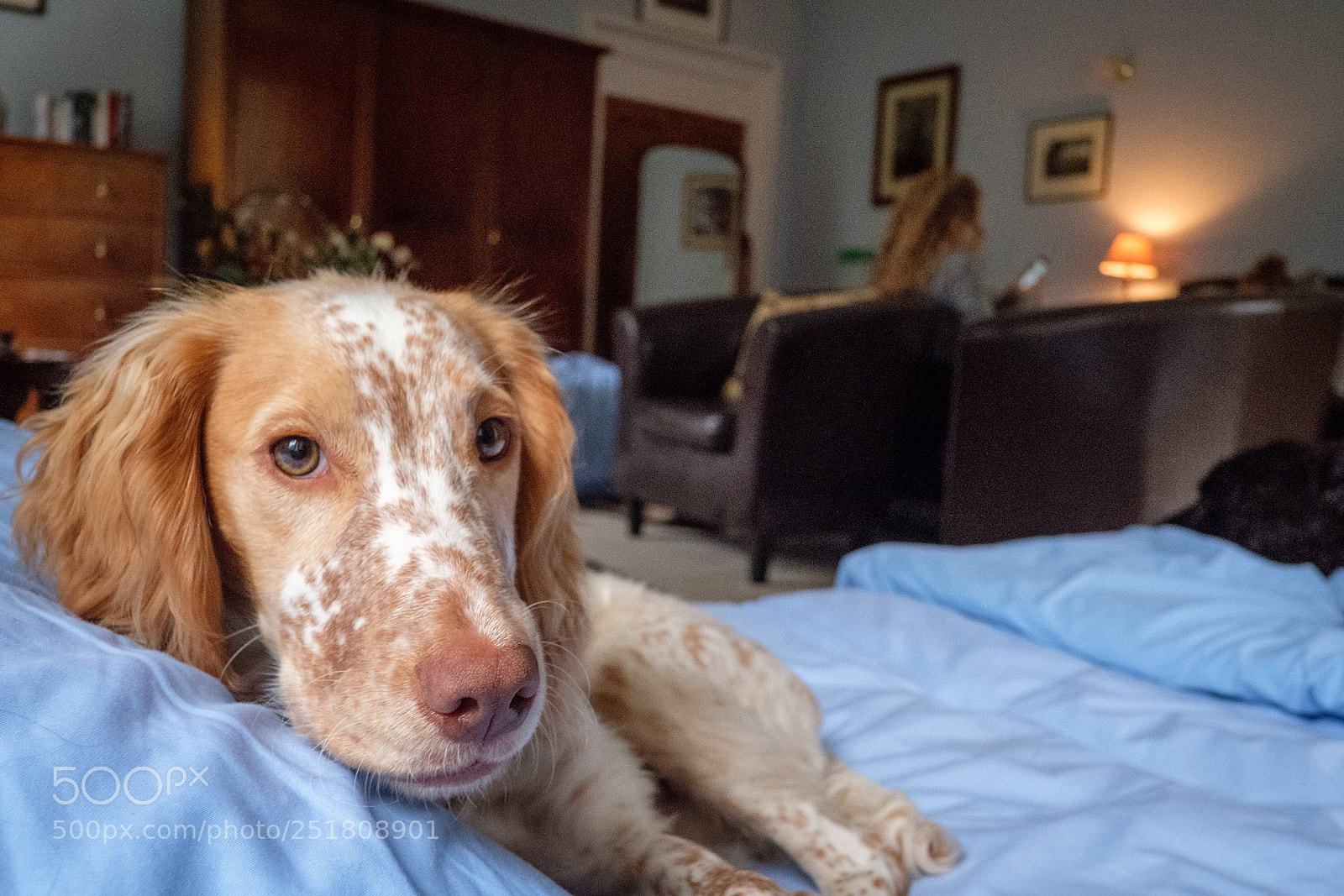 Fujifilm X-Pro2 sample photo. Keeper makes himself at photography