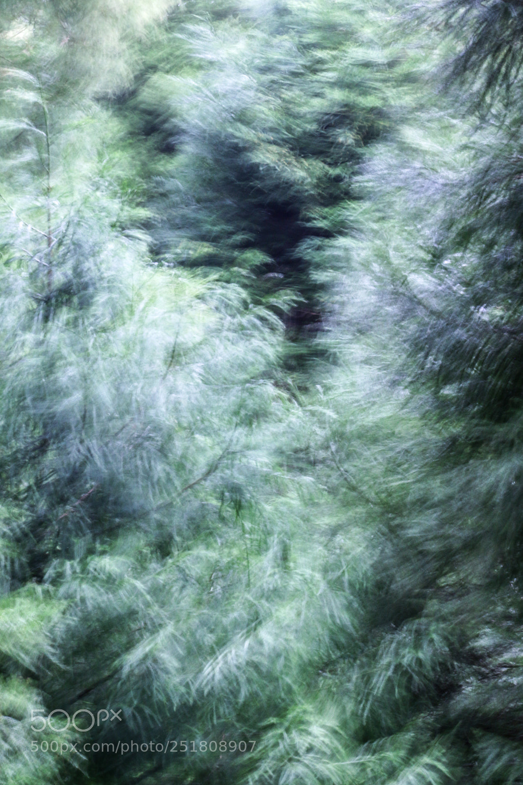Canon EOS 70D sample photo. Soft wind photography