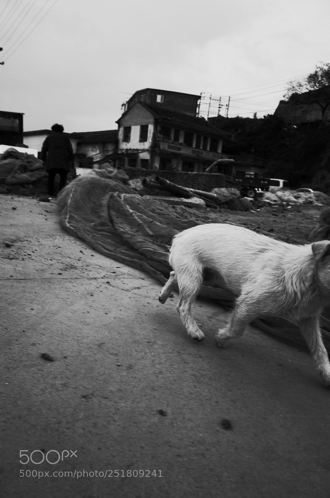 Ricoh GR sample photo. Untitled photography