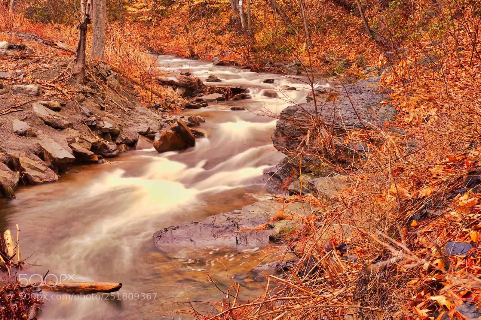 Nikon D500 sample photo. Untitled photography