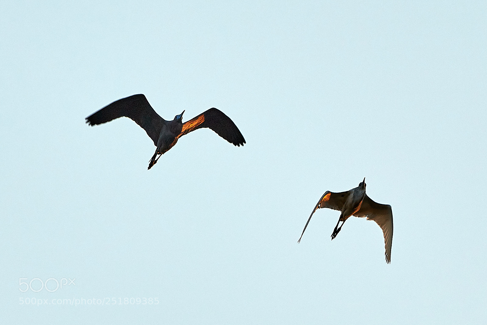 Canon EOS 5DS R sample photo. 04-01-18-0010299.jpg photography