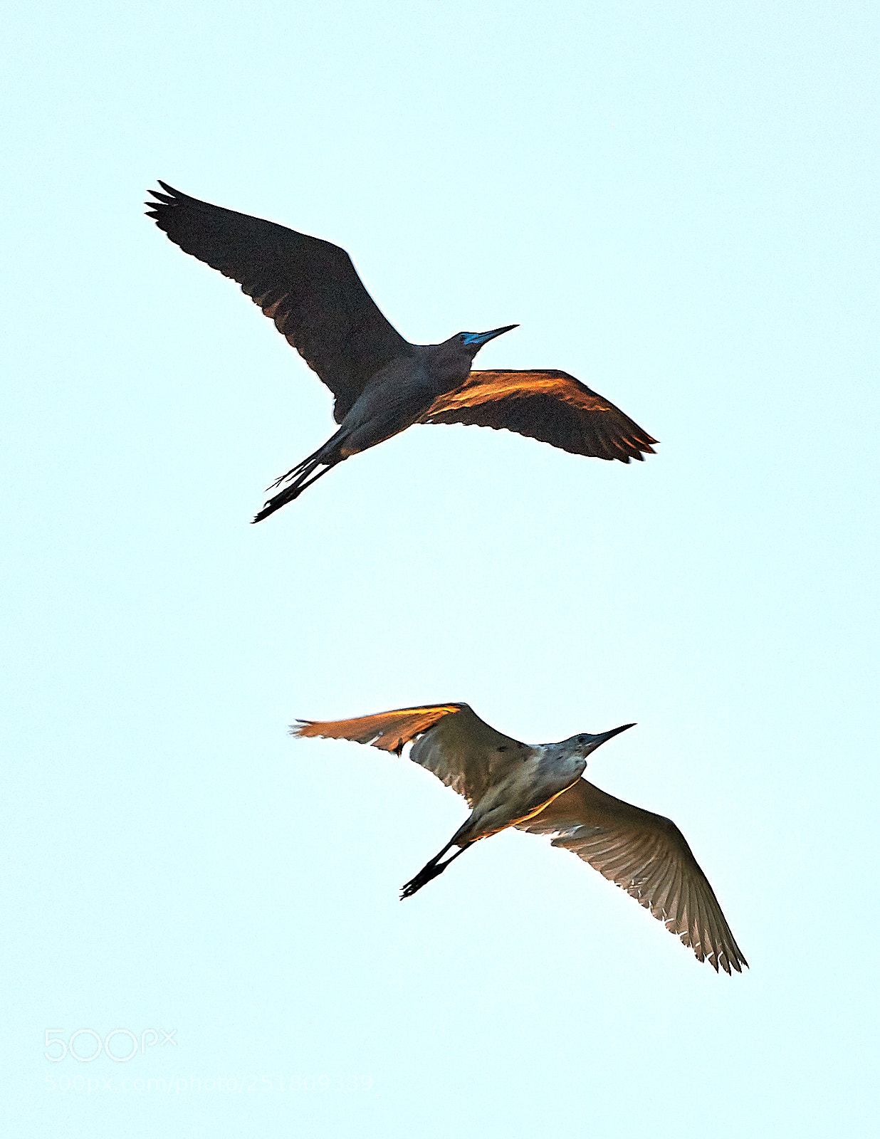 Canon EOS 5DS R sample photo. 04-01-18-0010297.jpg photography