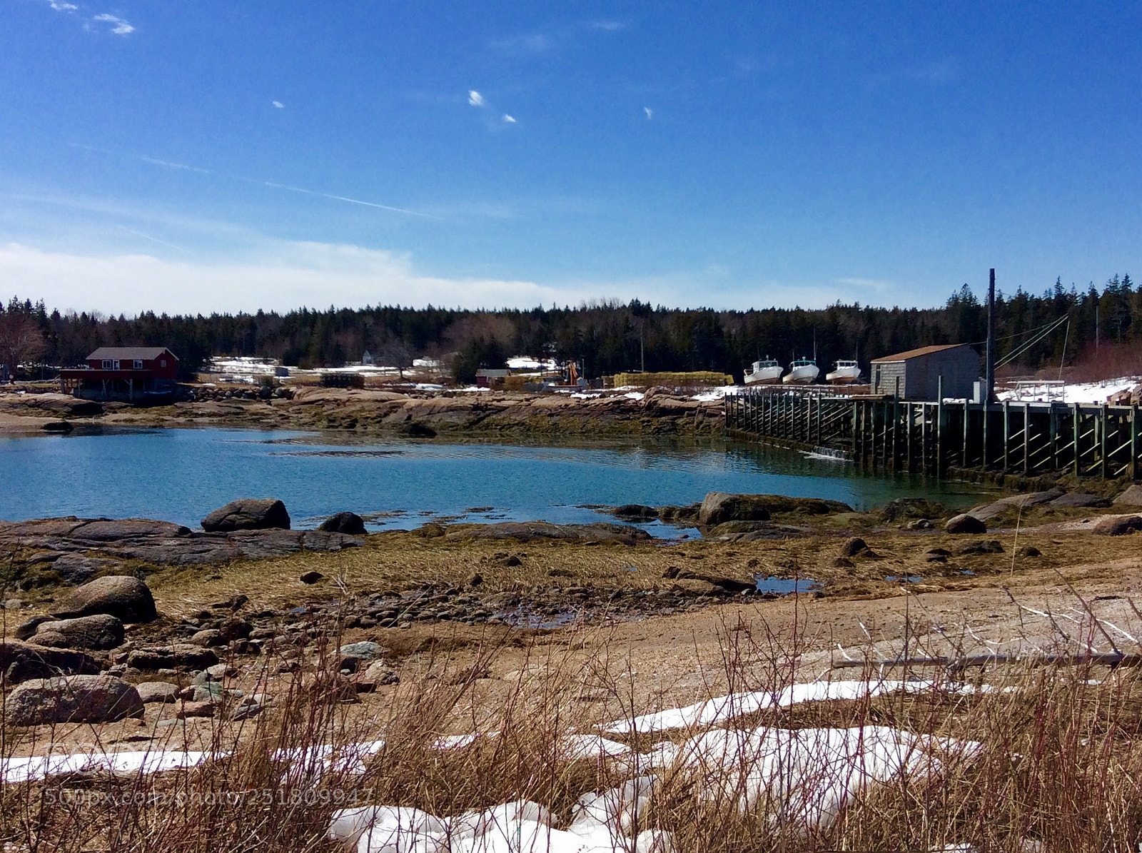 Apple iPad mini 2 sample photo. Relaxing view in maine photography