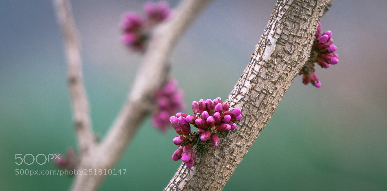 Sony a6300 sample photo. New photography