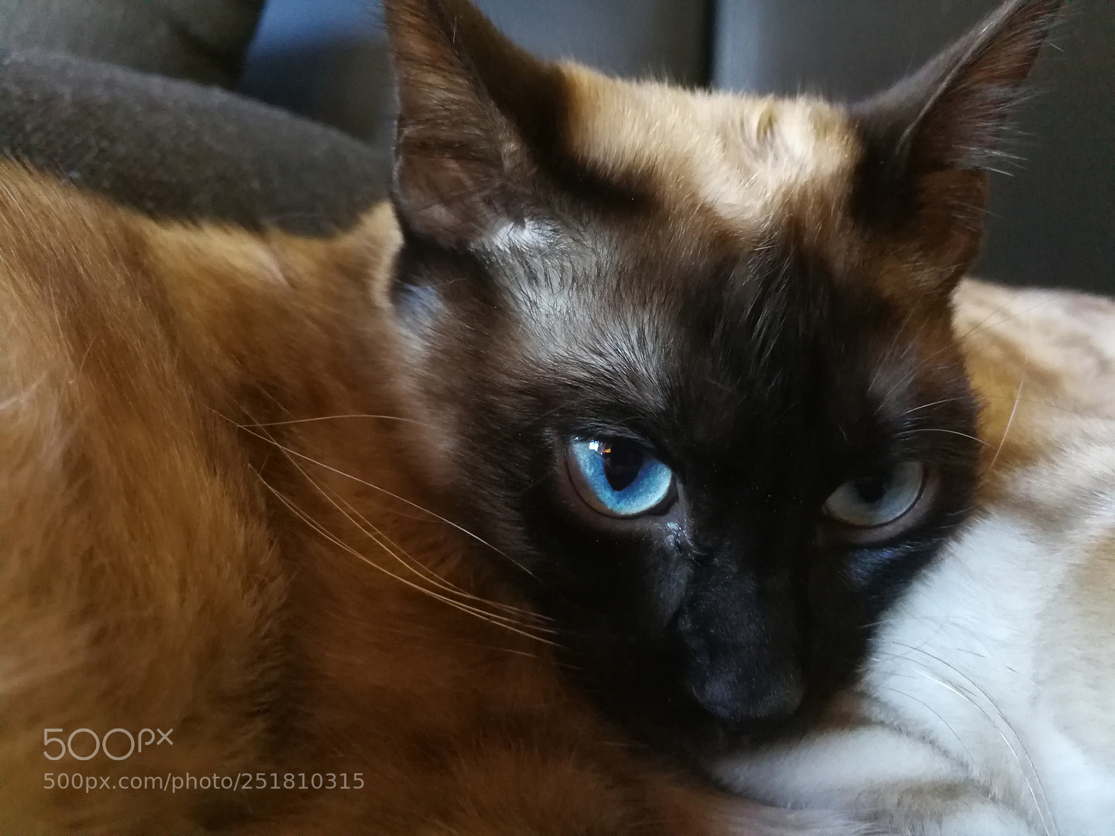 HUAWEI Mate 9 sample photo. Untitled photography