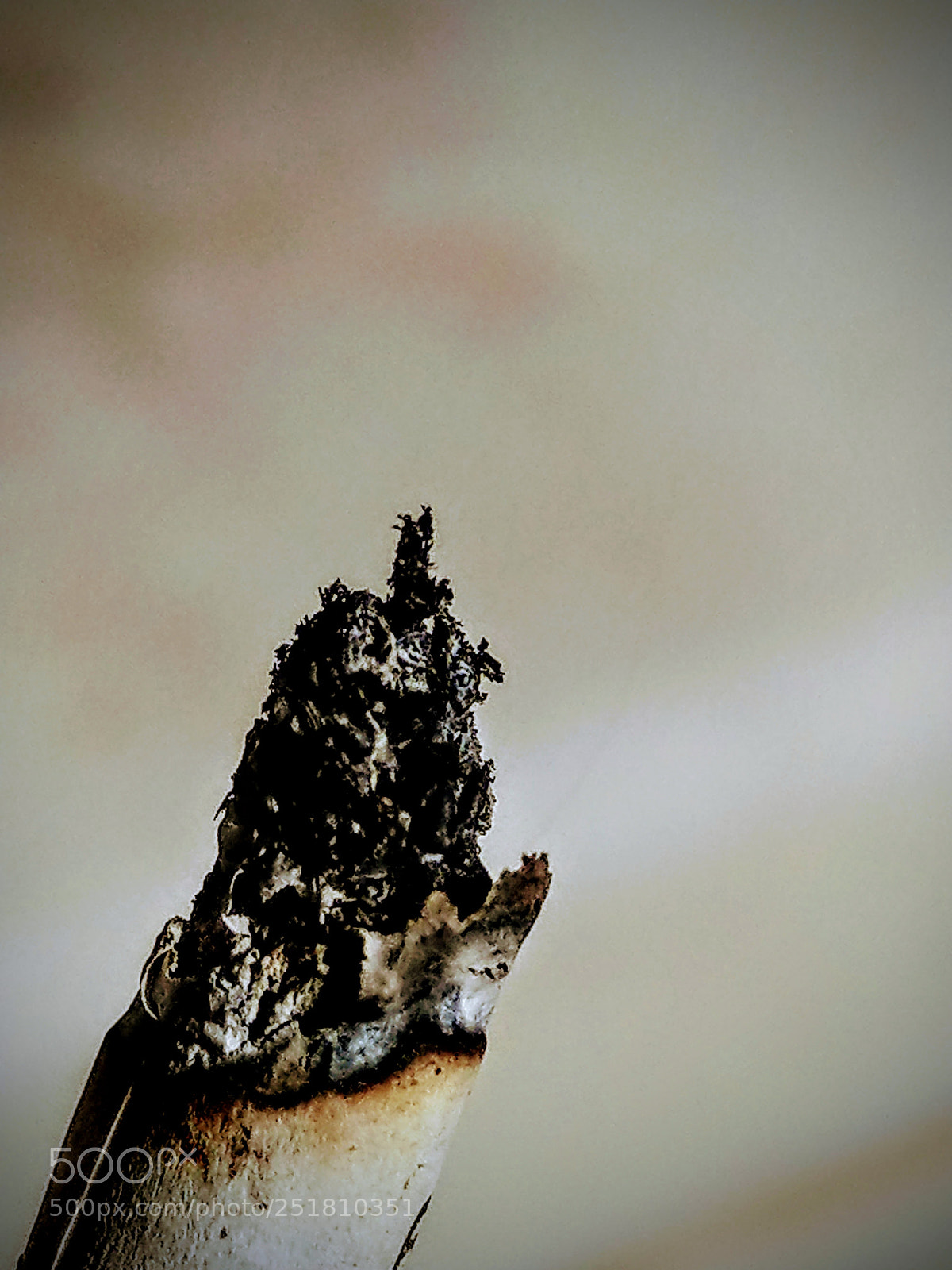 HTC U11 sample photo. Abstract photography