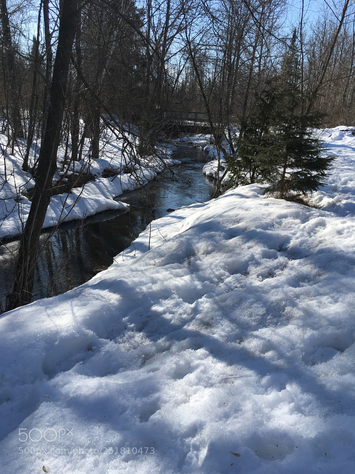 Apple iPhone SE sample photo. Winter wonderland photography