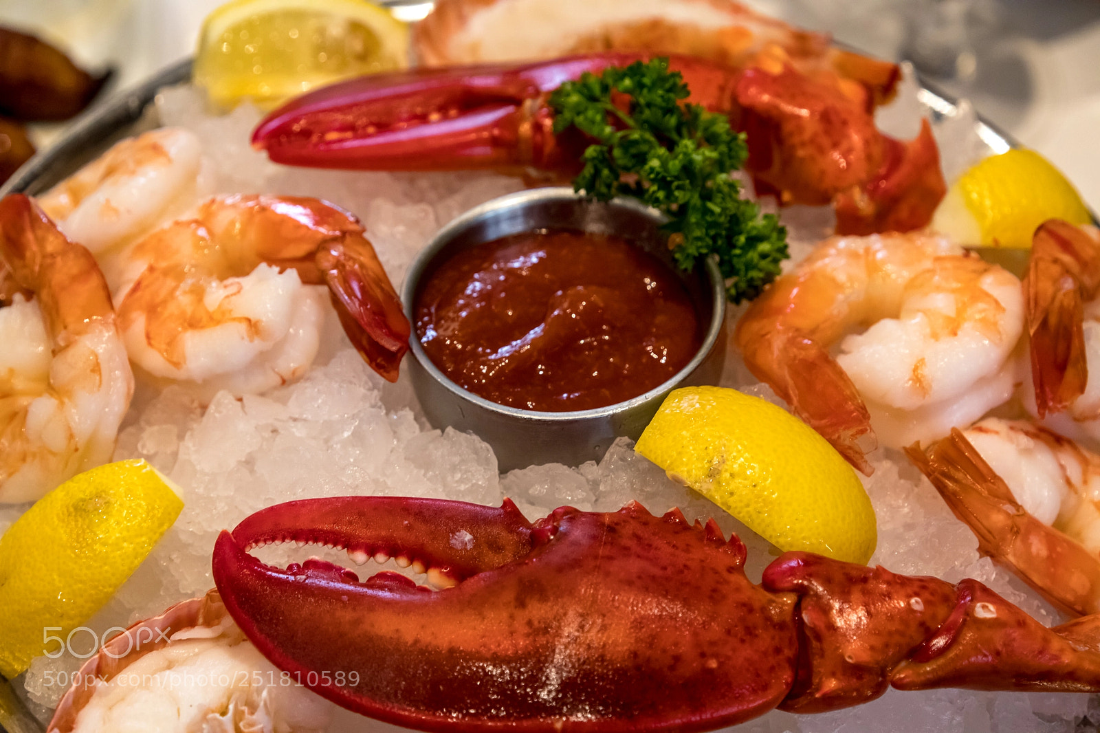 Canon EOS 5D Mark IV sample photo. A little lobster and photography