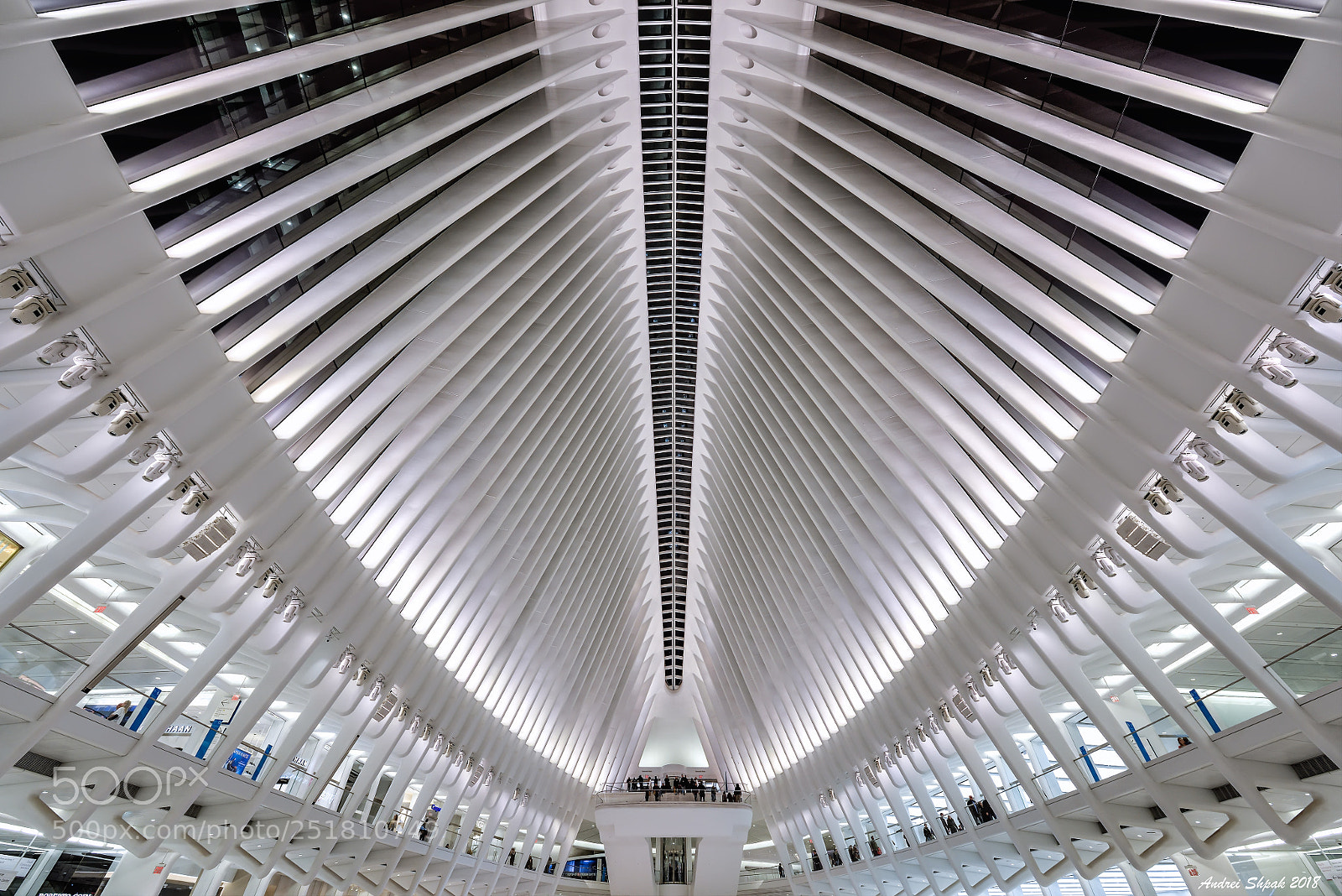 Nikon D810 sample photo. Nyc. oculus. got couple photography