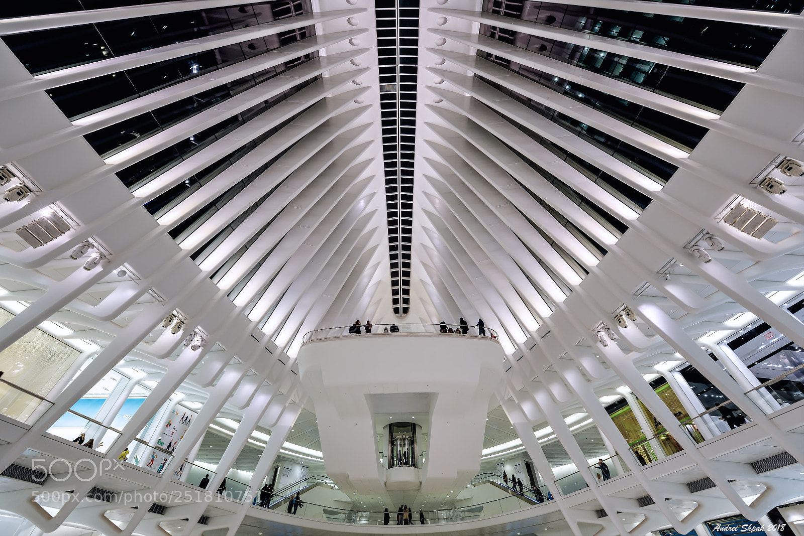Nikon D810 sample photo. Nyc. oculus. got couple photography