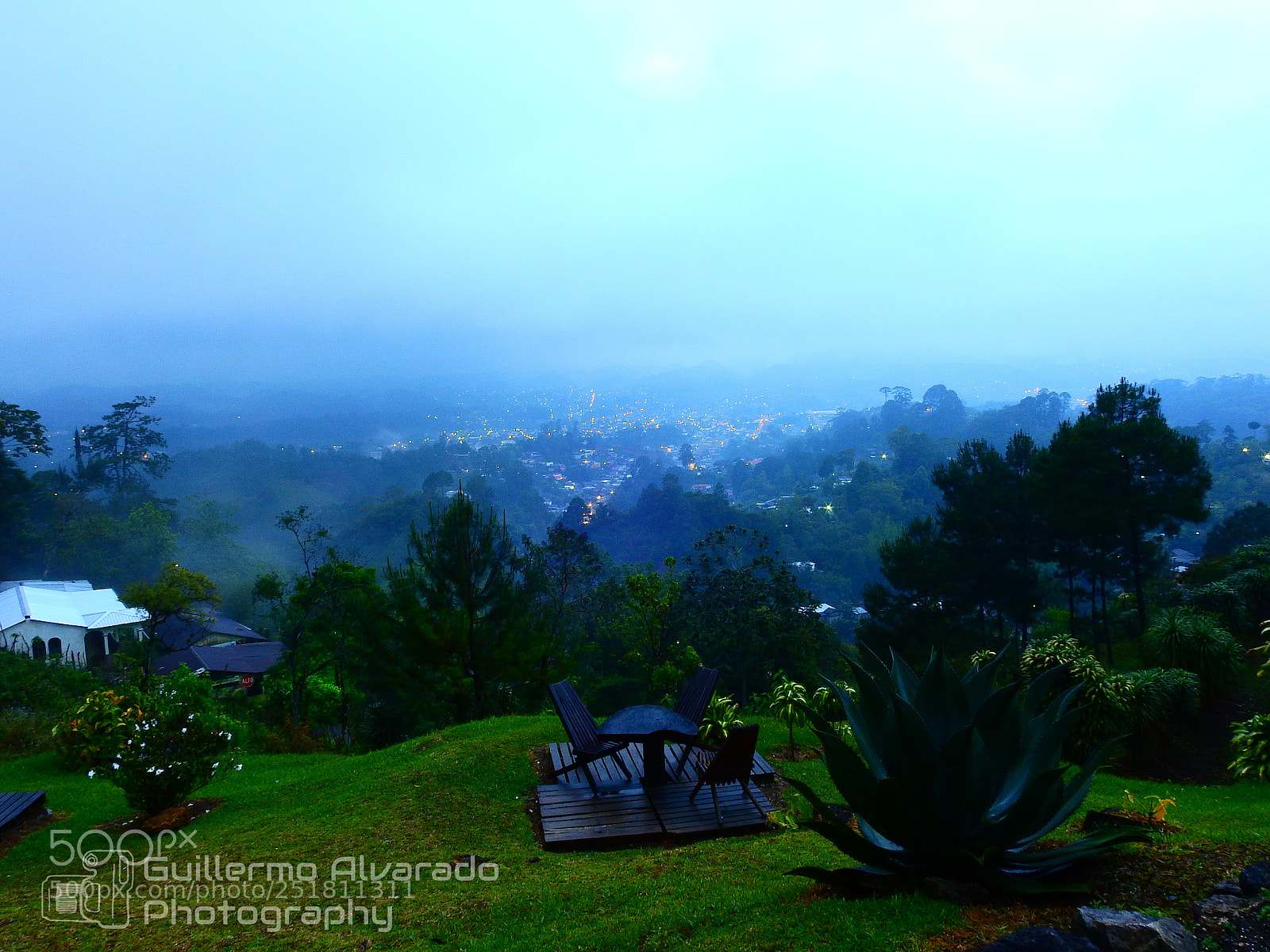 Nikon Coolpix P900 sample photo. Mornings photography
