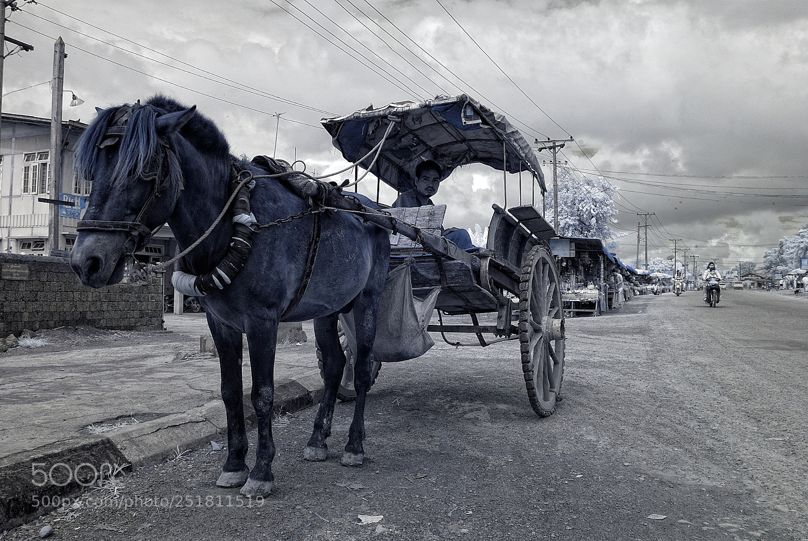 Nikon D200 sample photo. Horse carriage on the photography
