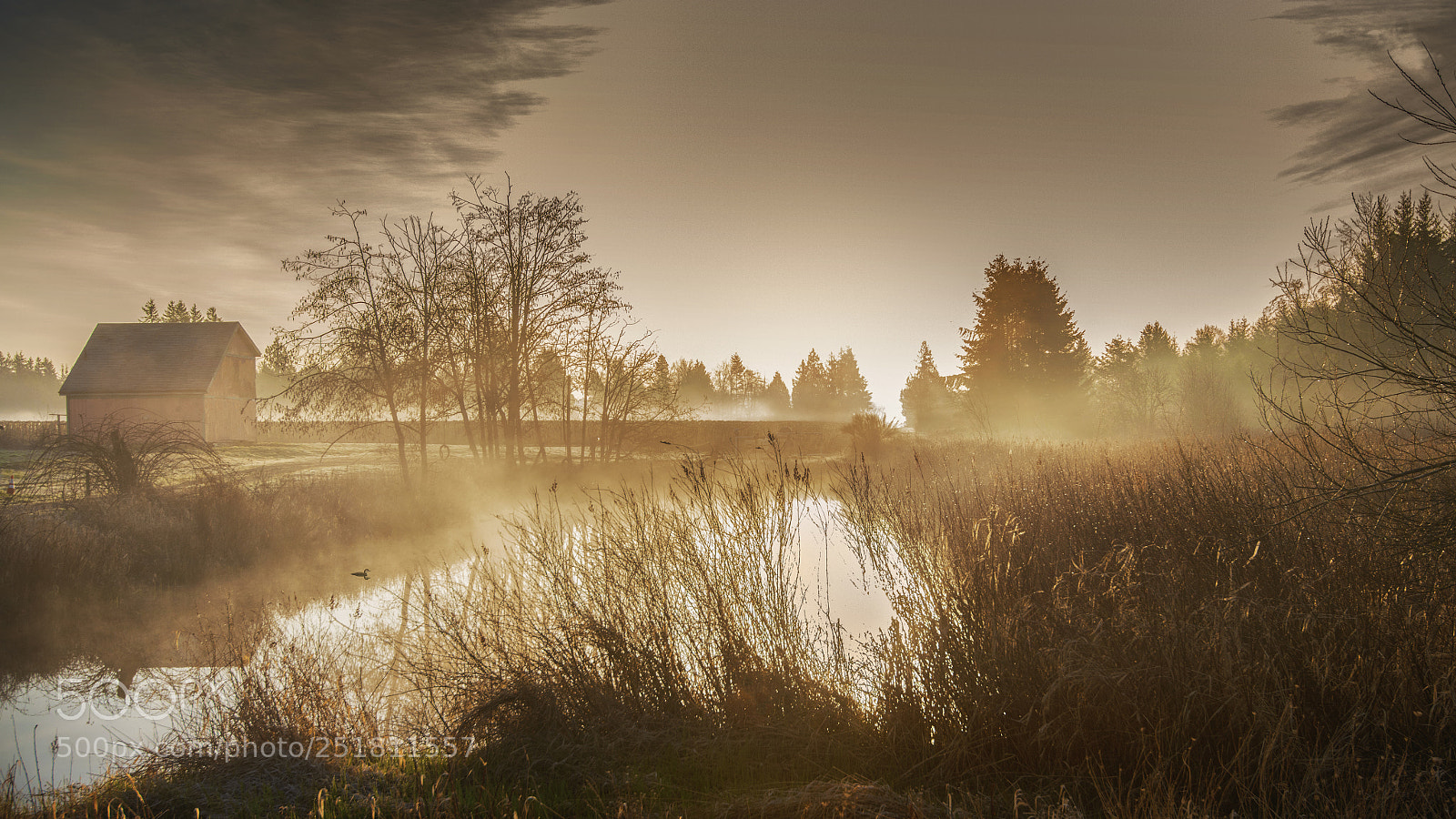 Nikon D800E sample photo. Barn and pond photography