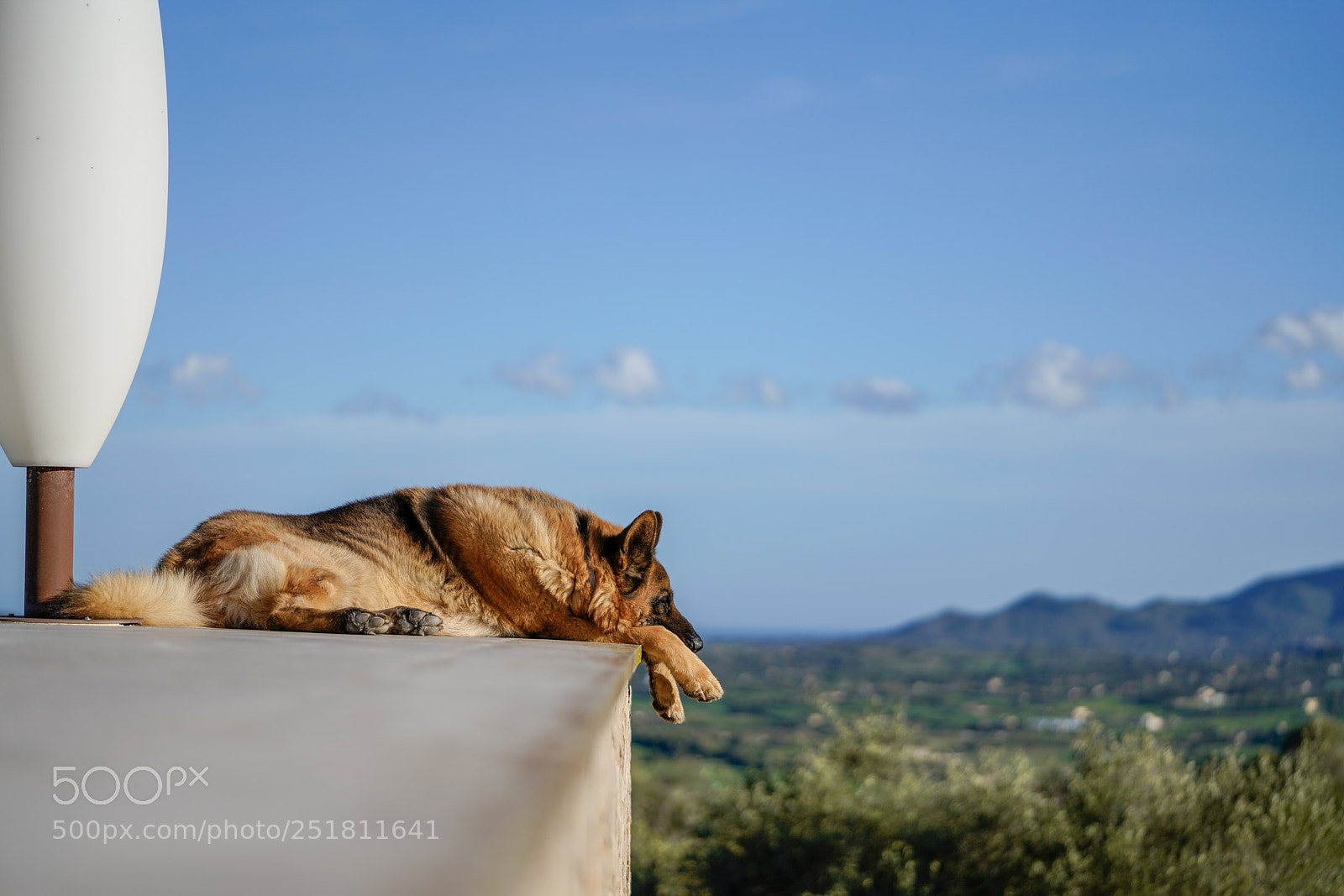 Sony a7R III sample photo. Stand watch photography