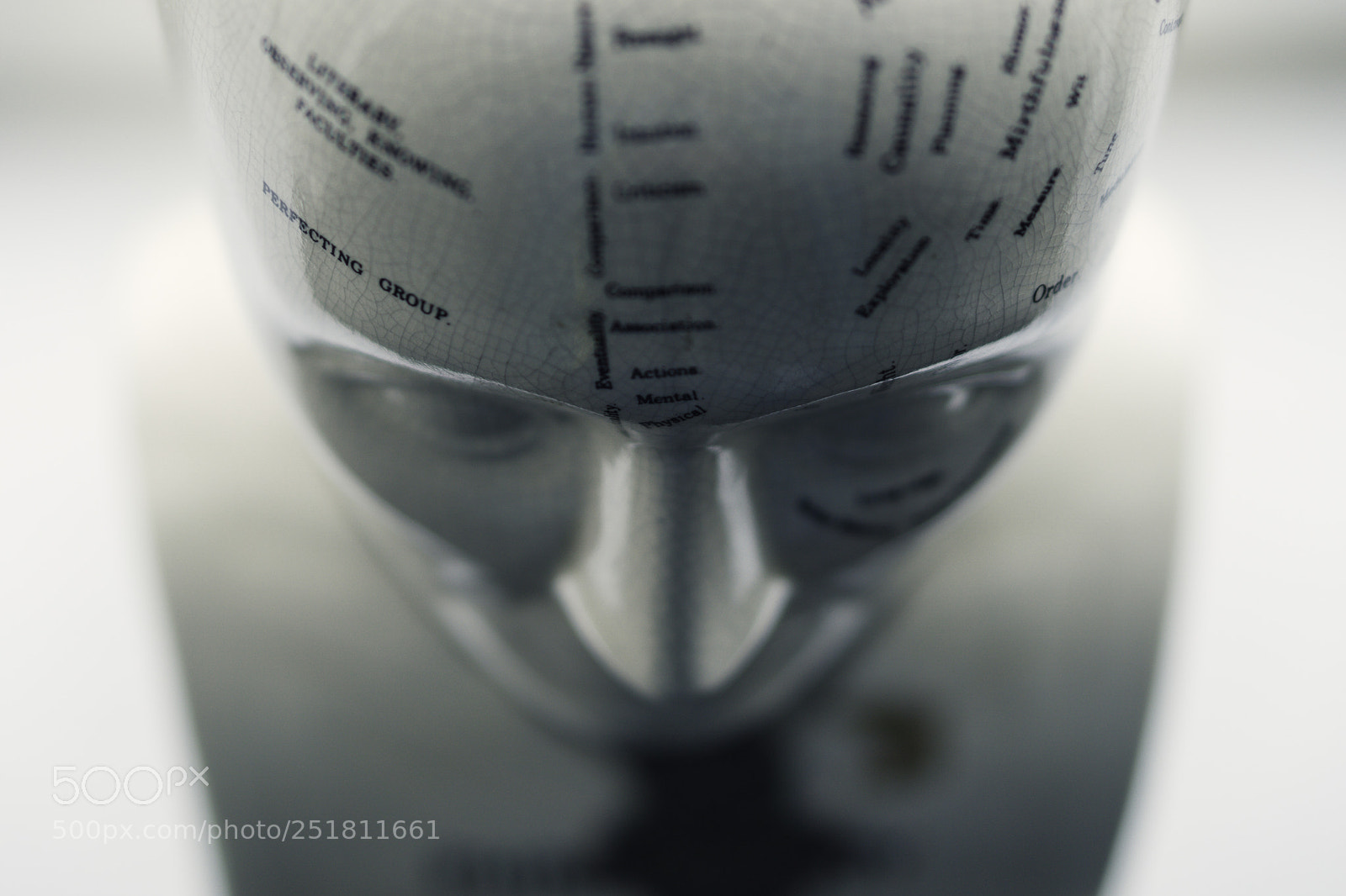 Sony a6000 sample photo. Phrenology photography