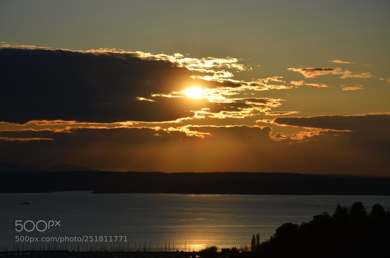 Nikon D7000 sample photo. Seattle (wa) photography