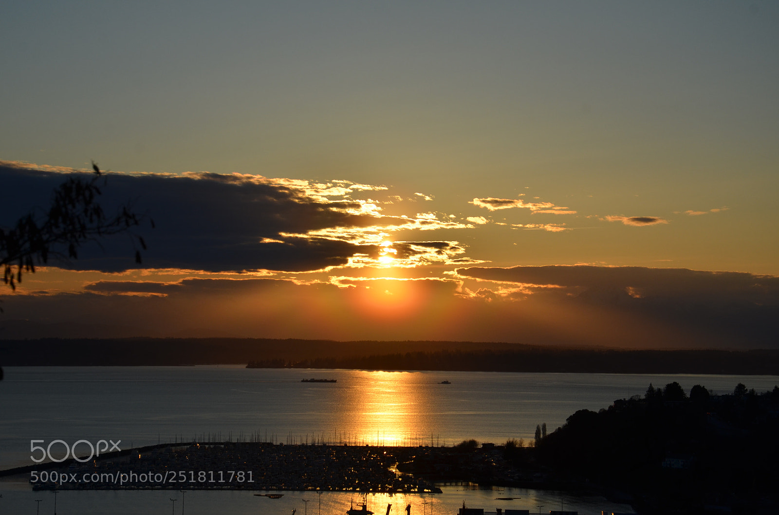 Nikon D7000 sample photo. Seattle (wa) photography