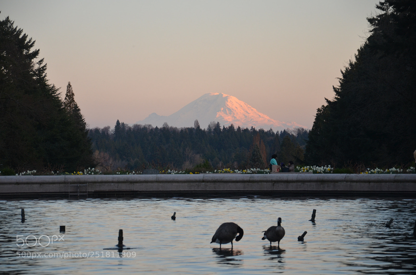 Nikon D7000 sample photo. Seattle (wa) photography