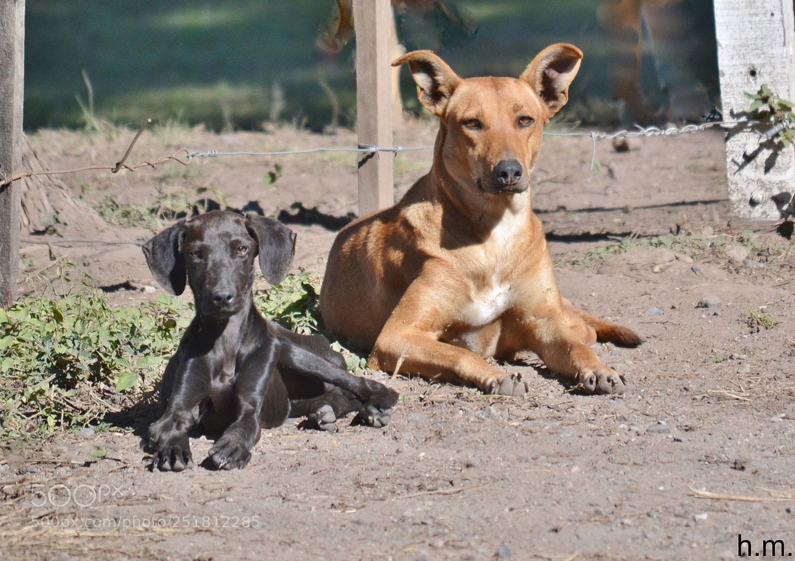 Nikon D3100 sample photo. O photography