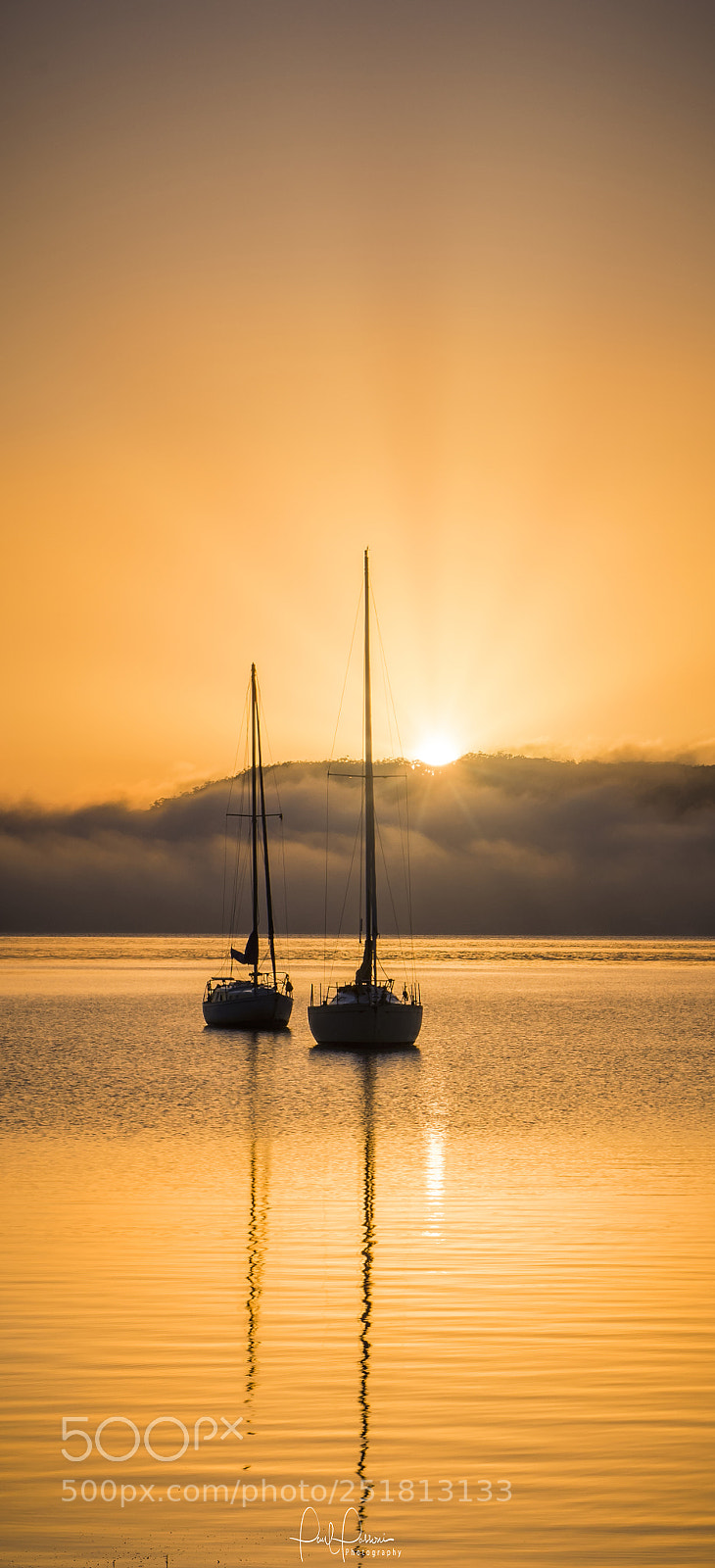 Nikon D810 sample photo. First light of easter photography