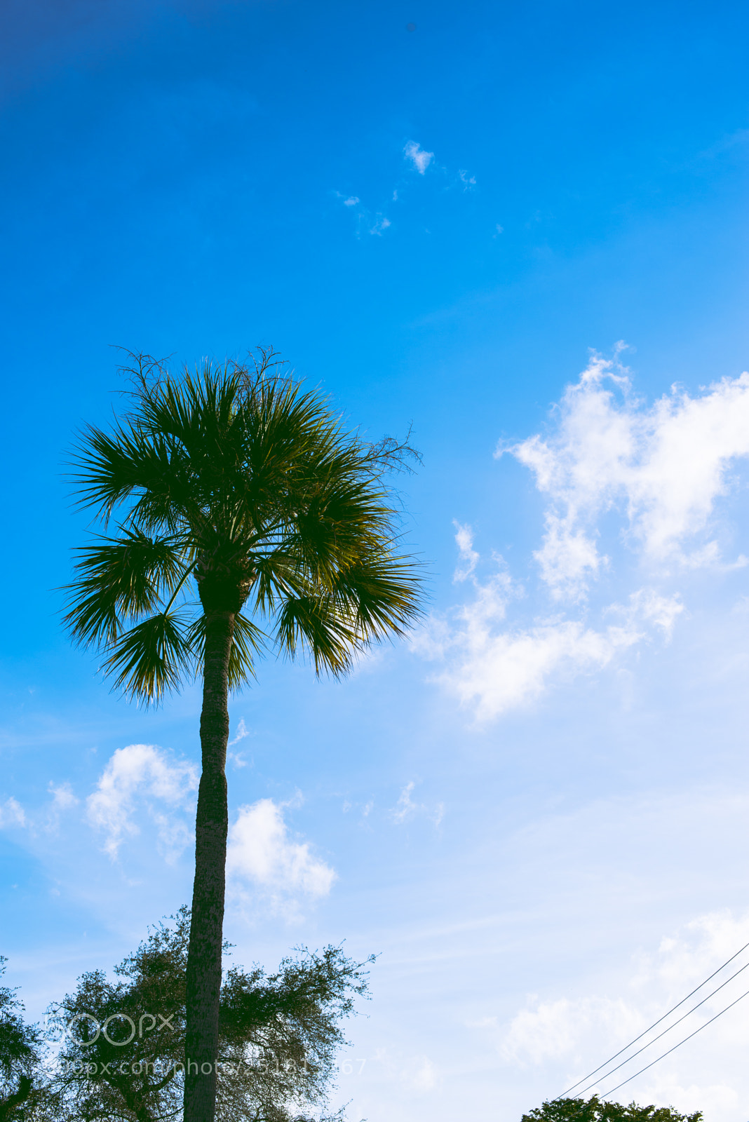 Nikon D610 sample photo. Untitled photography
