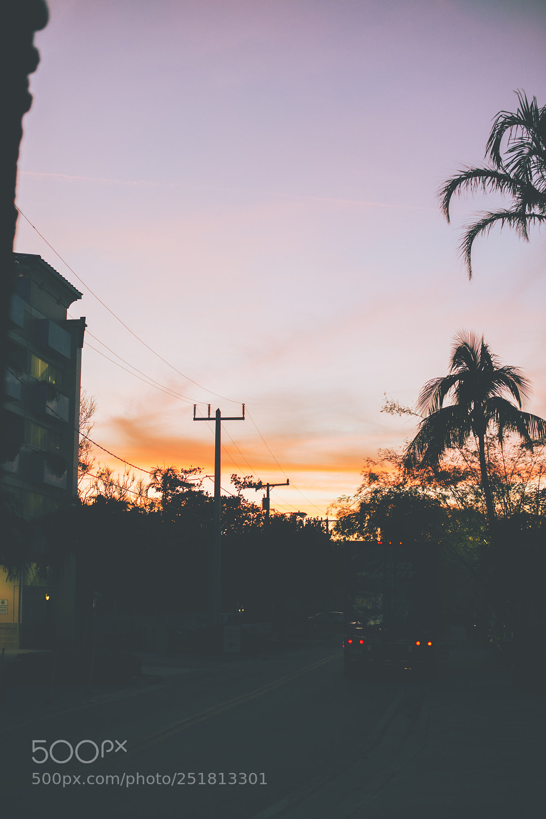 Nikon D610 sample photo. Untitled photography