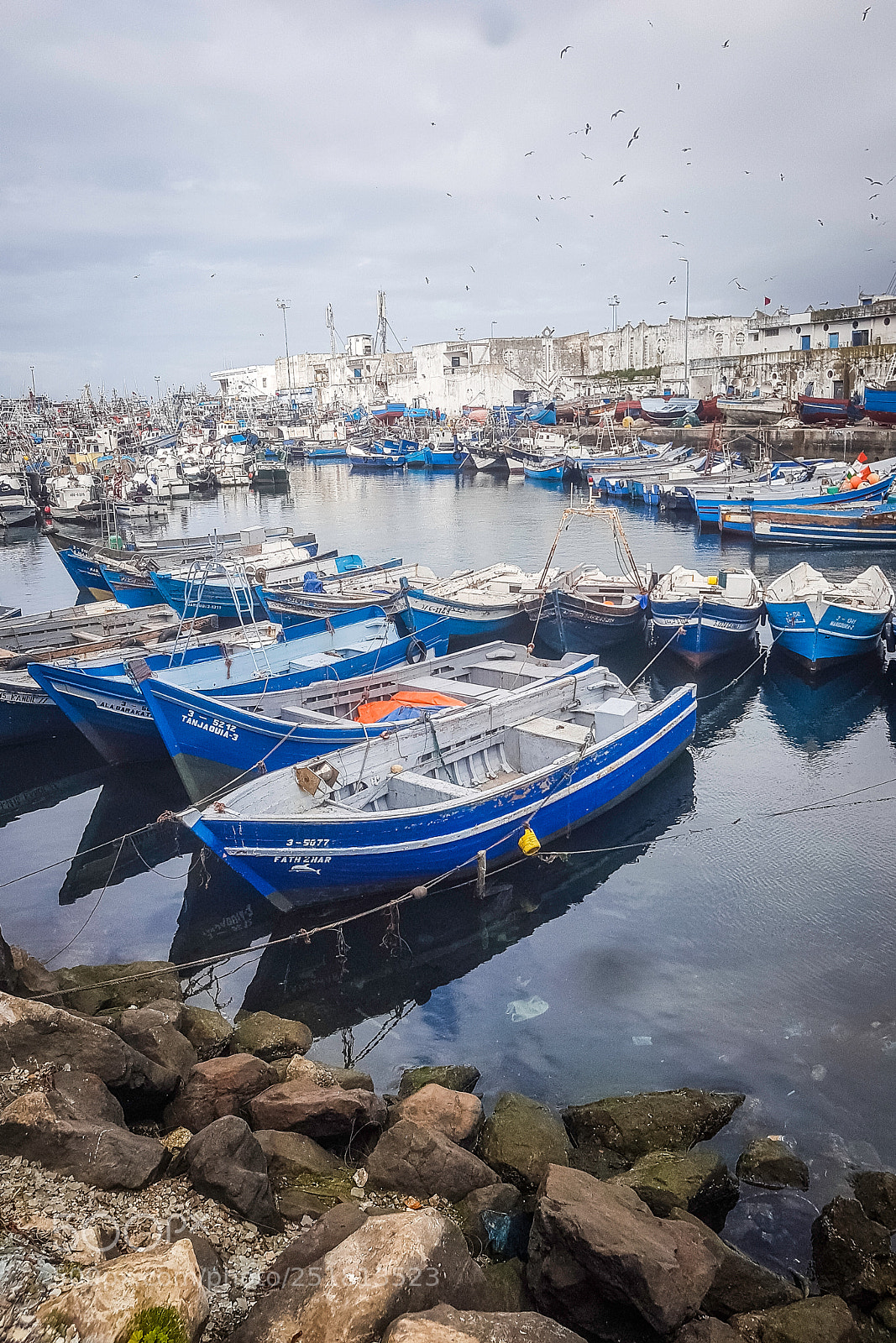 Samsung Galaxy S7 sample photo. Au port de tanger photography
