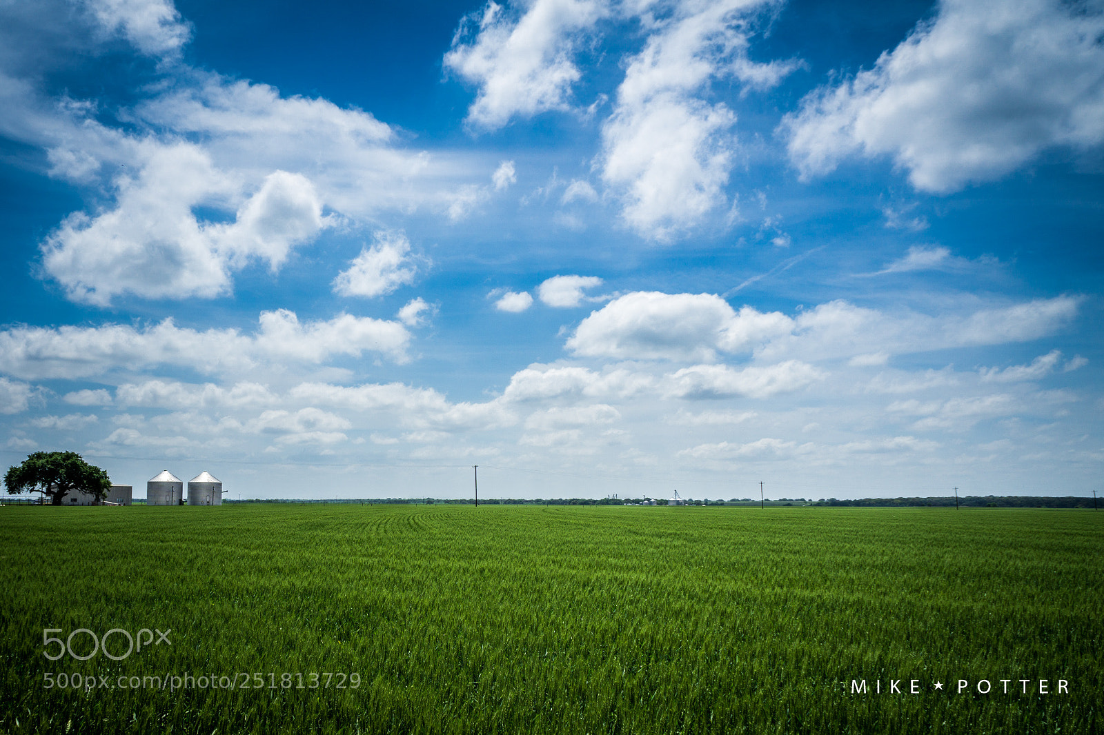 Sony a6000 sample photo. Green acres photography