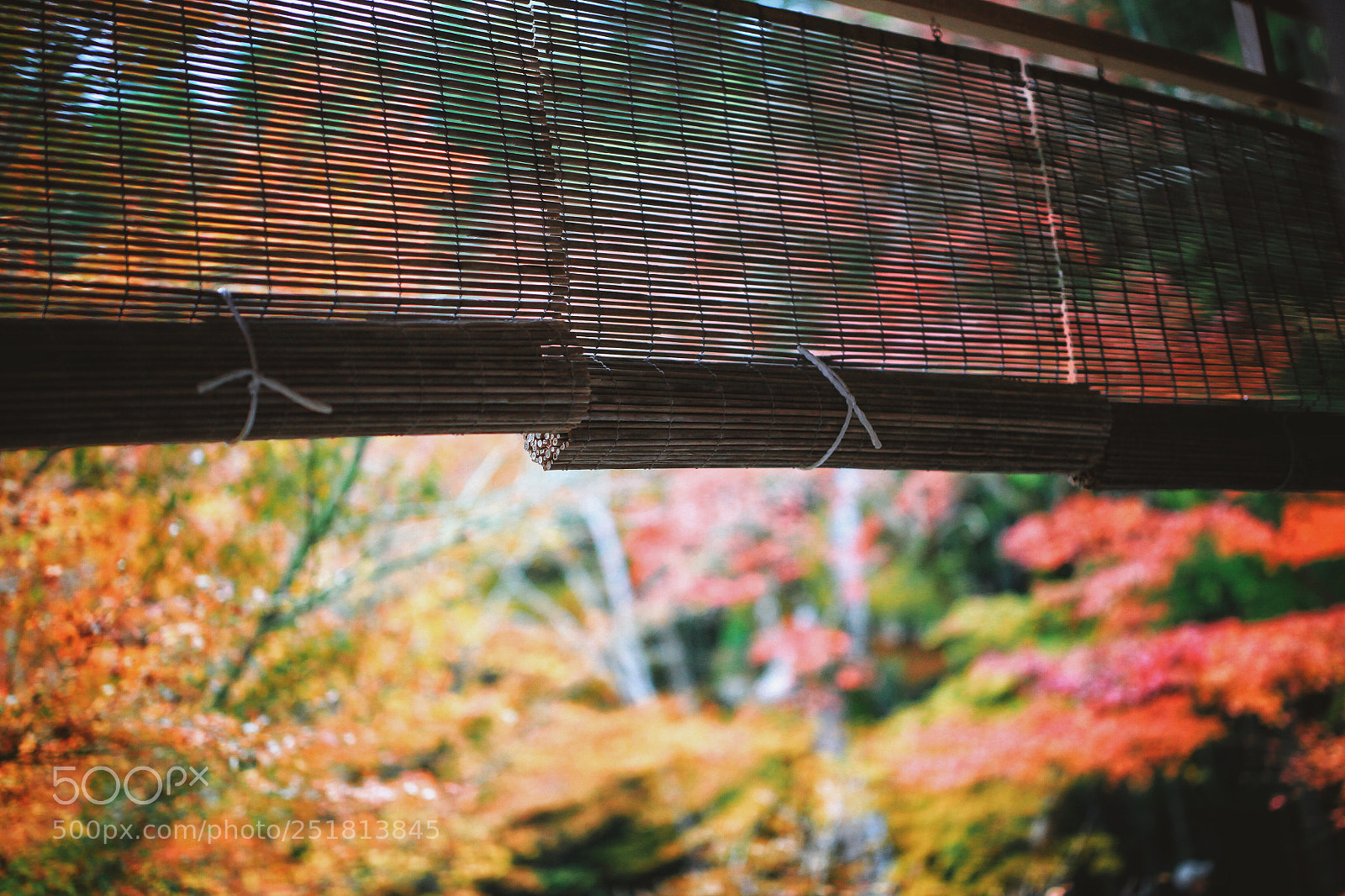 Canon EOS 5D Mark II sample photo. Untitled photography