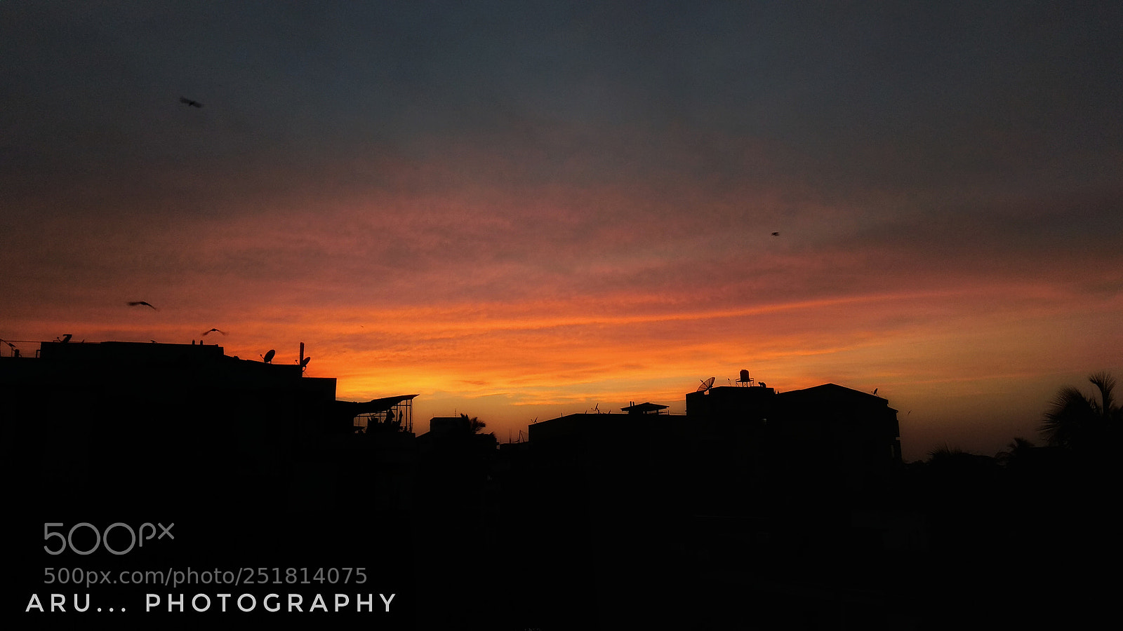 Xiaomi Redmi Note 4 sample photo. Untitled photography
