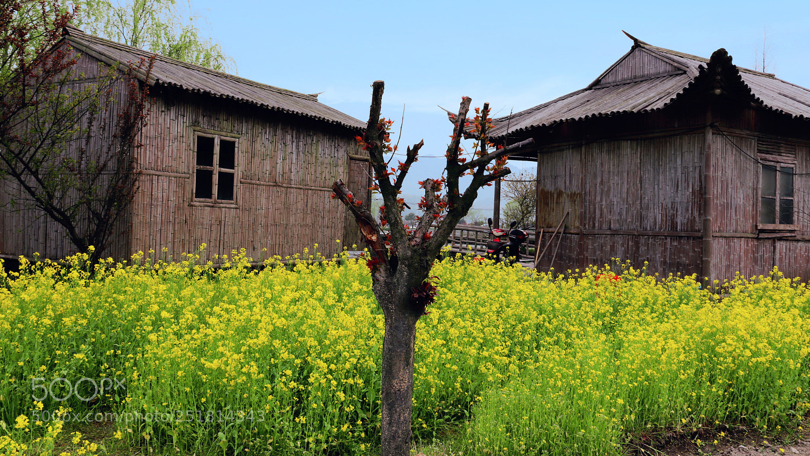 Canon EOS 77D (EOS 9000D / EOS 770D) sample photo. Untitled photography
