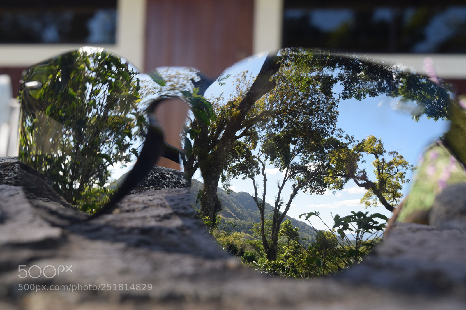 Nikon D3300 sample photo. [dd photography