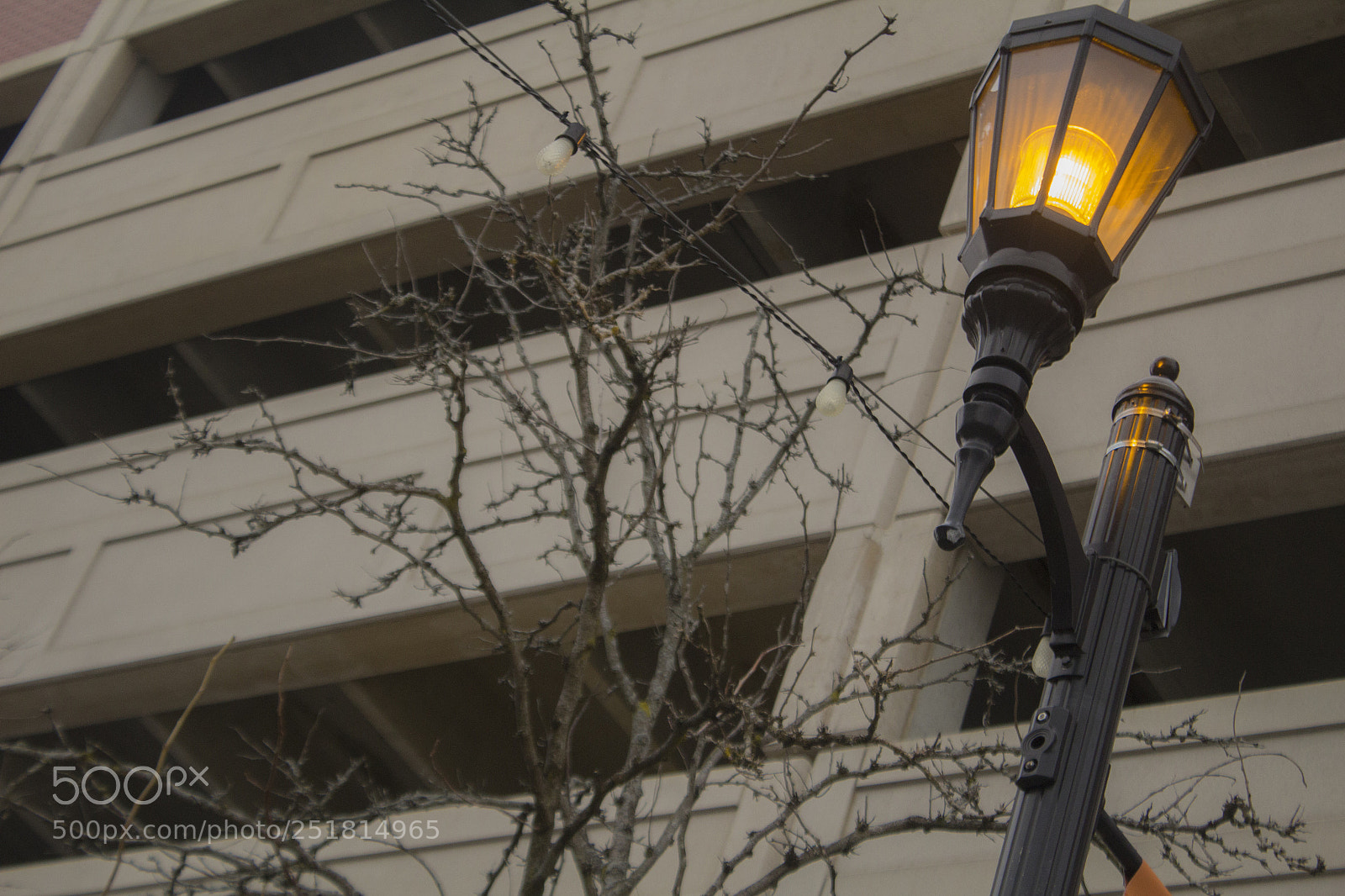 Canon EOS 1200D (EOS Rebel T5 / EOS Kiss X70 / EOS Hi) sample photo. Branches, parking garage, and photography