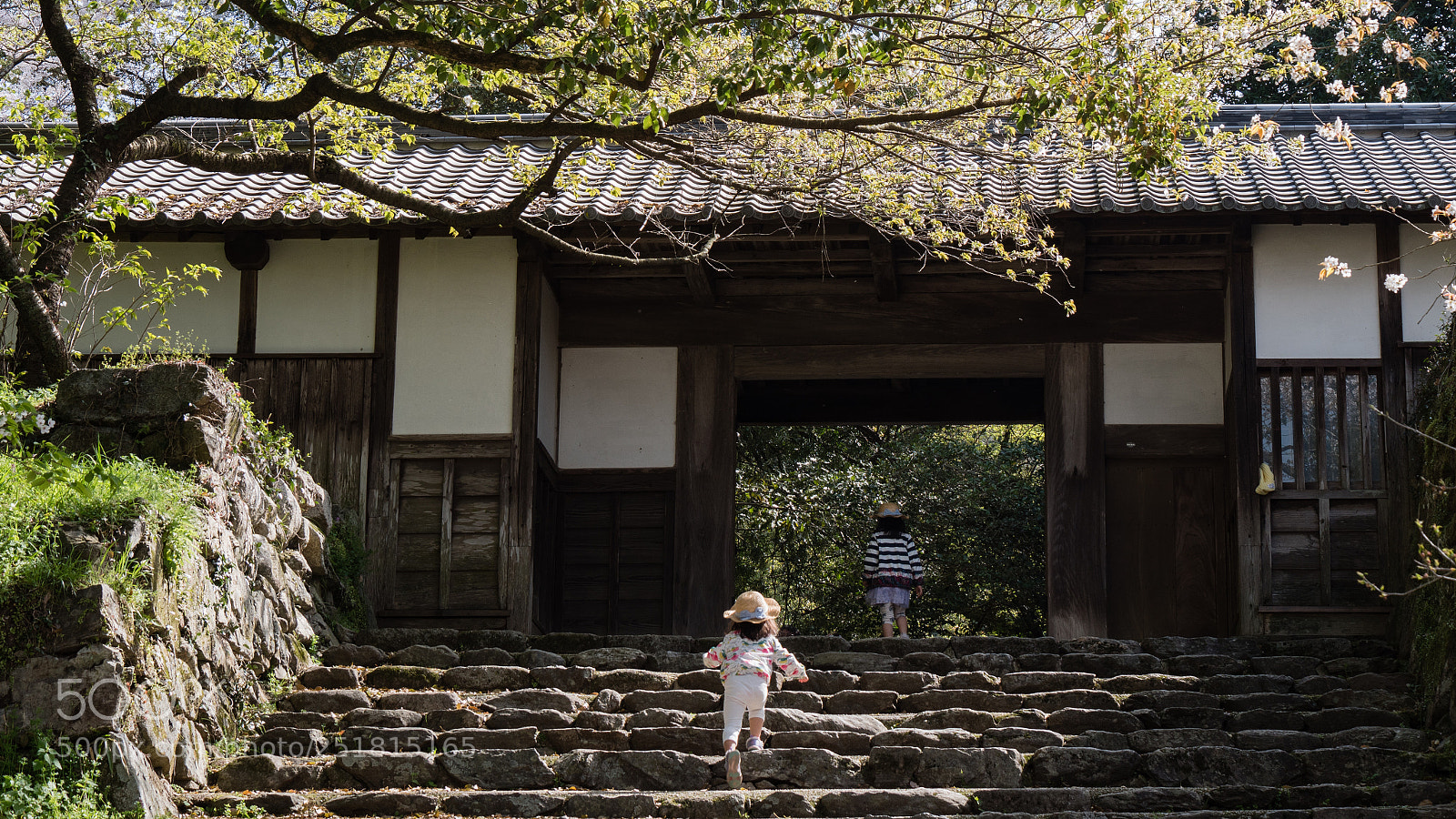 Panasonic Lumix DC-GH5 sample photo. Cute visitor photography