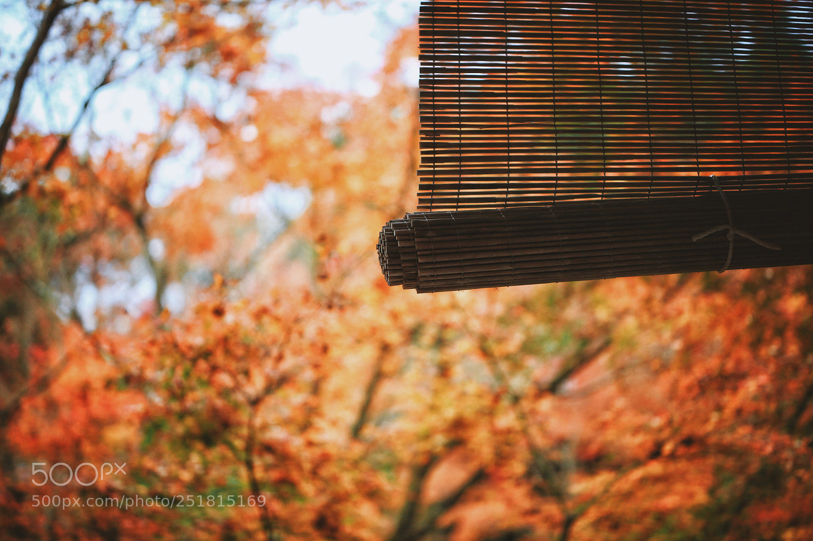 Canon EOS 5D Mark II sample photo. Untitled photography