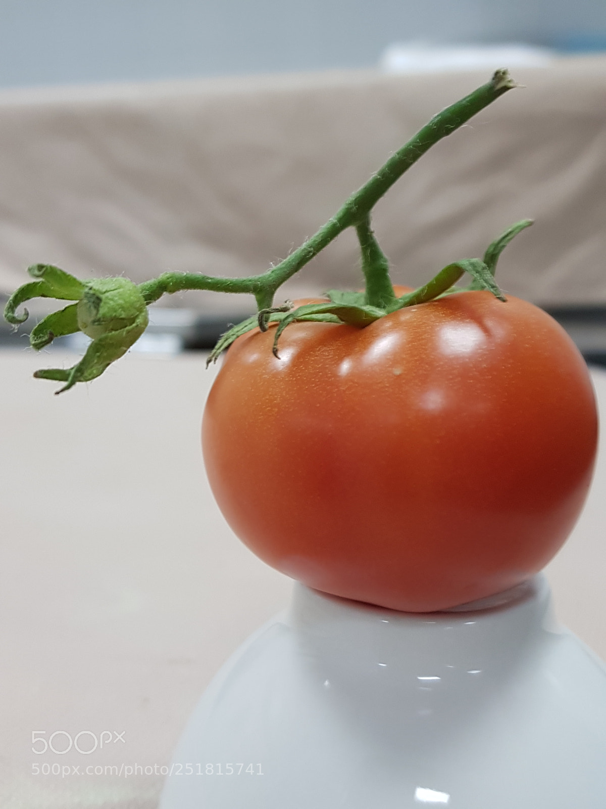 Samsung Galaxy S8+ sample photo. Untitled photography