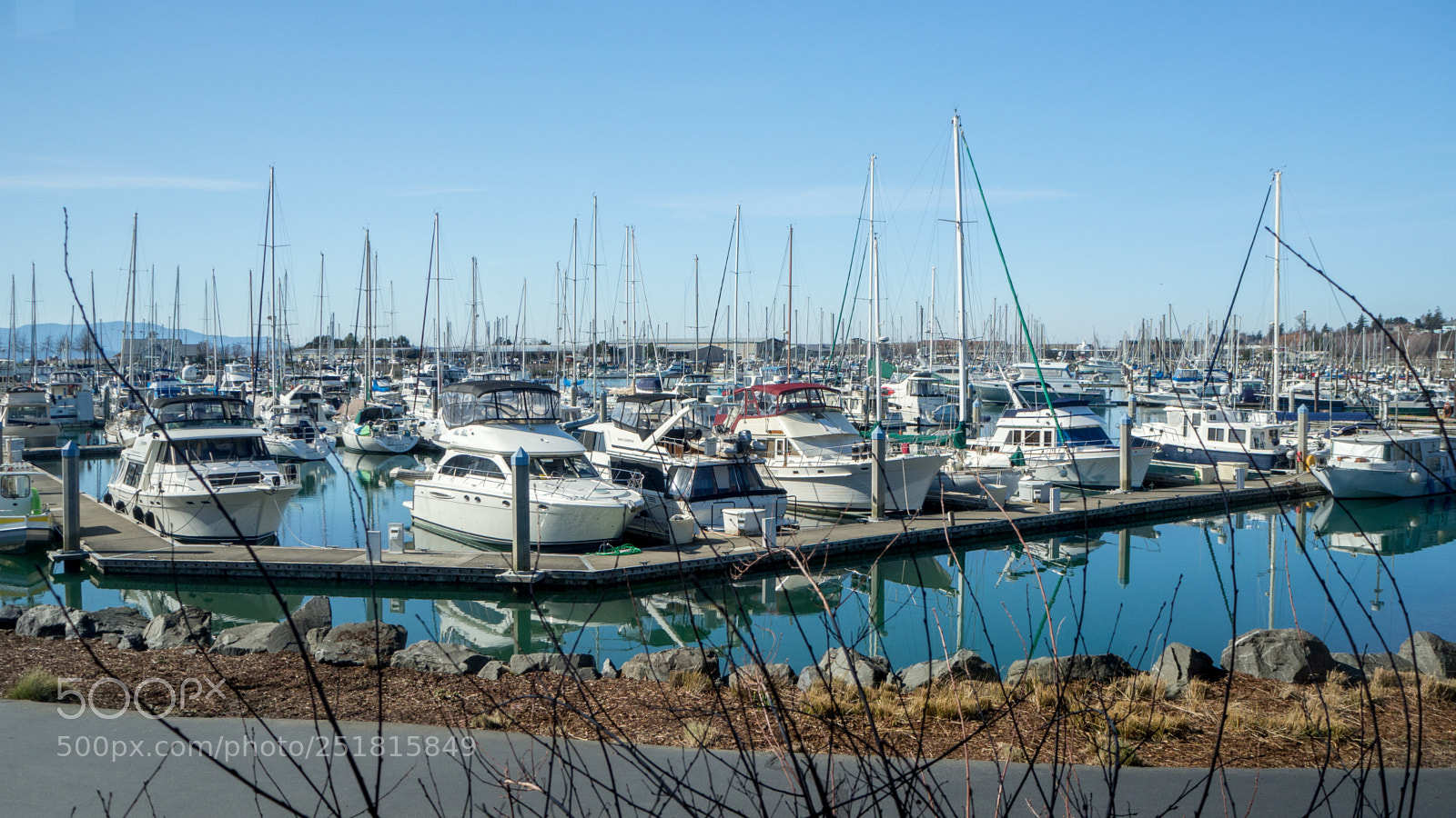 Olympus OM-D E-M10 sample photo. Squalicum harbor photography