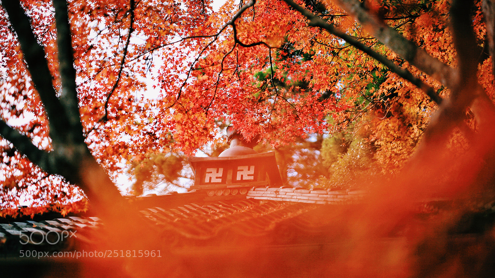 Canon EOS 5D Mark II sample photo. Untitled photography