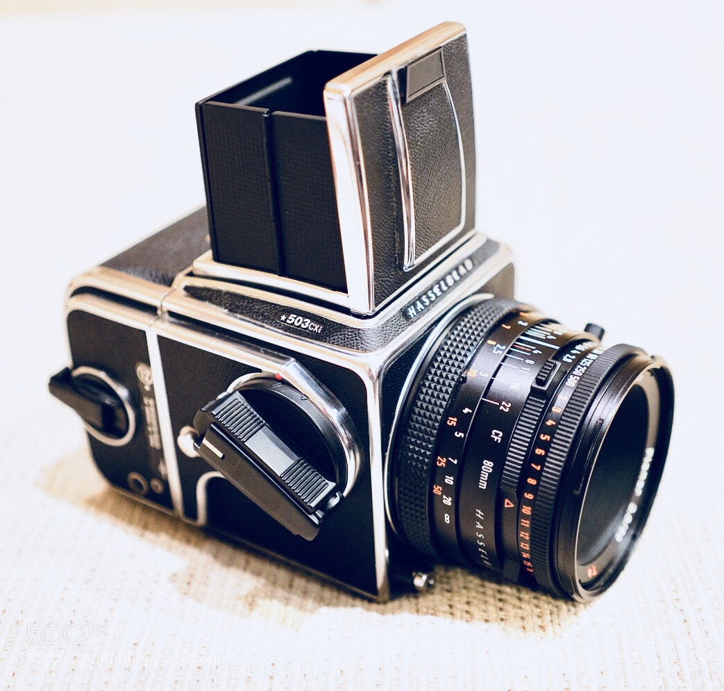 Sony a7R III sample photo. My hasselblad photography