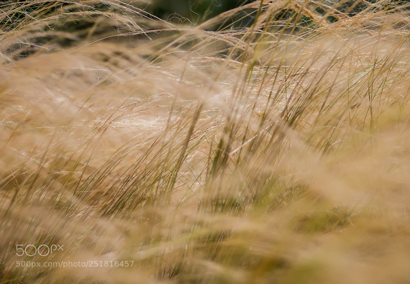 Canon EOS 70D sample photo. Beauty of nature and photography