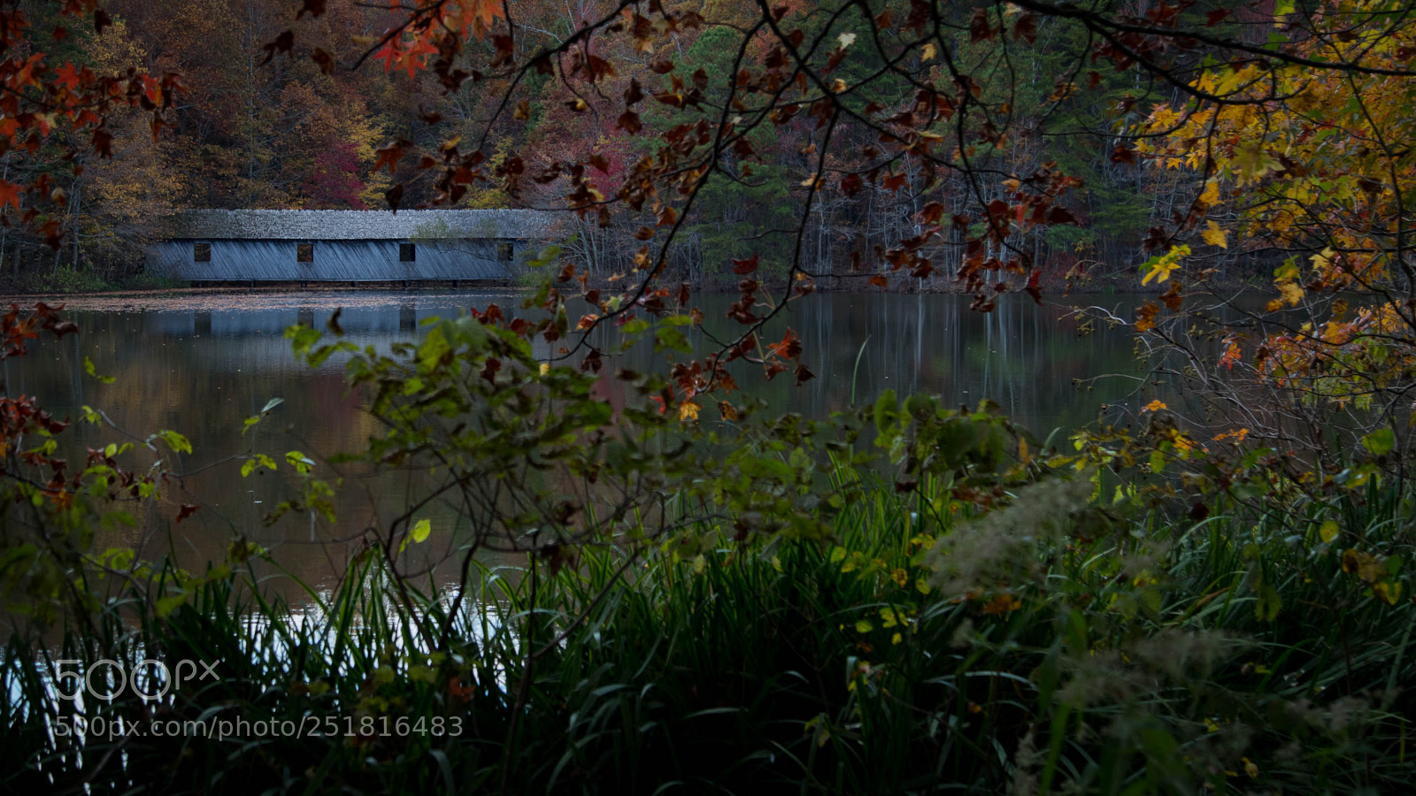 Canon EOS 6D Mark II sample photo. Beauty of nature and photography