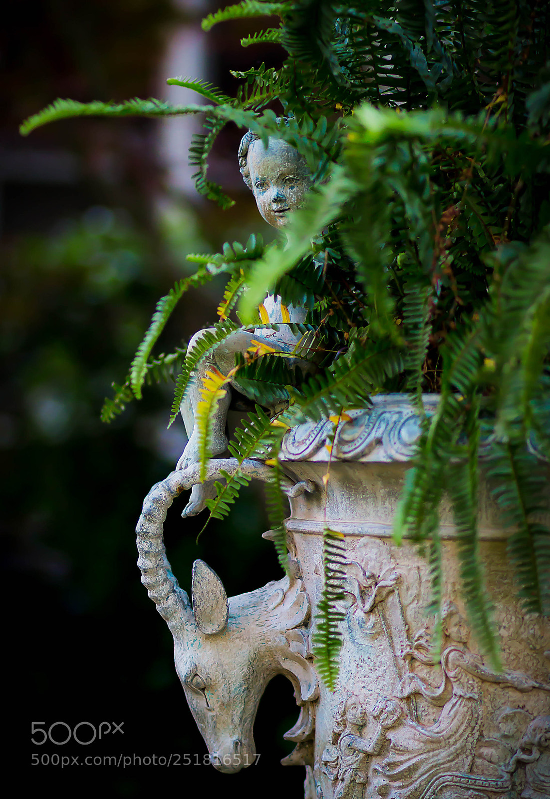 Canon EOS 70D sample photo. Beauty of nature and photography